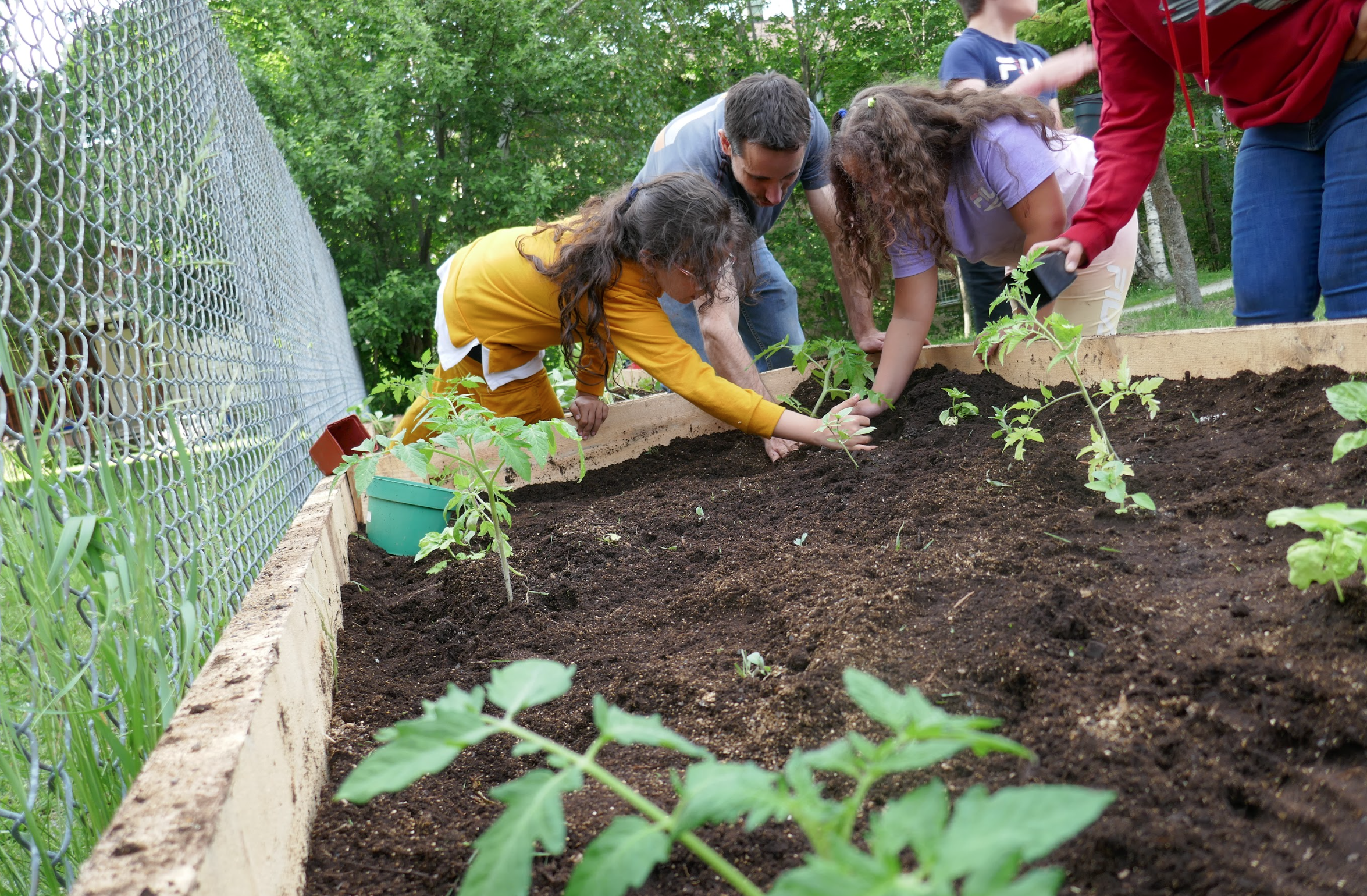 Capture d’écran, le 2026-02-12 à 15.39.06.png