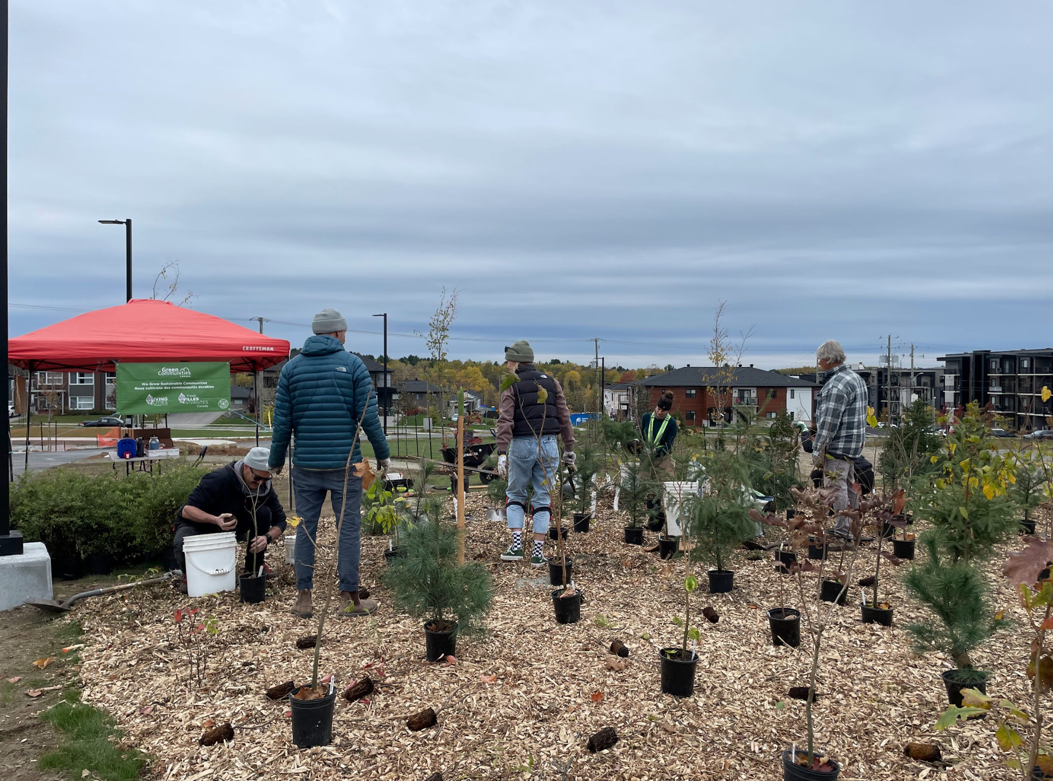 Capture d’écran, le 2026-02-12 à 15.44.44.png
