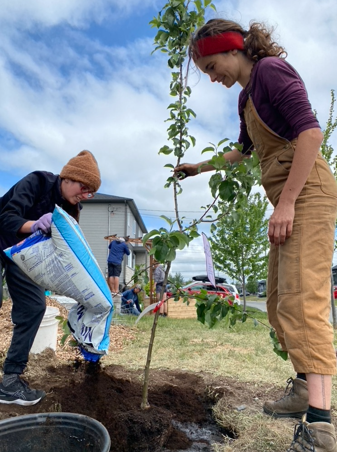 Capture d’écran, le 2026-02-12 à 16.14.35.png