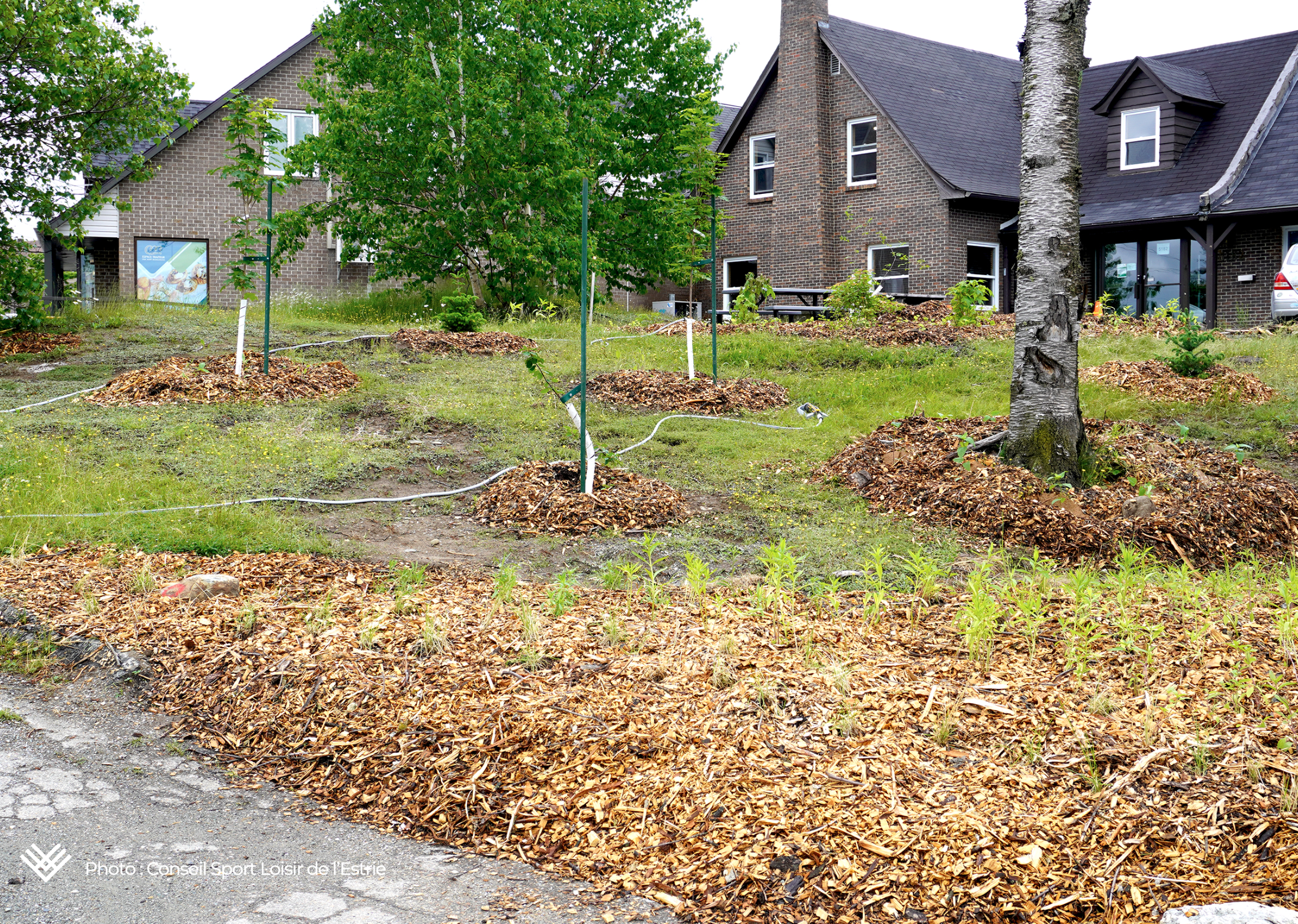 Capture d’écran, le 2026-02-12 à 15.11.02.png