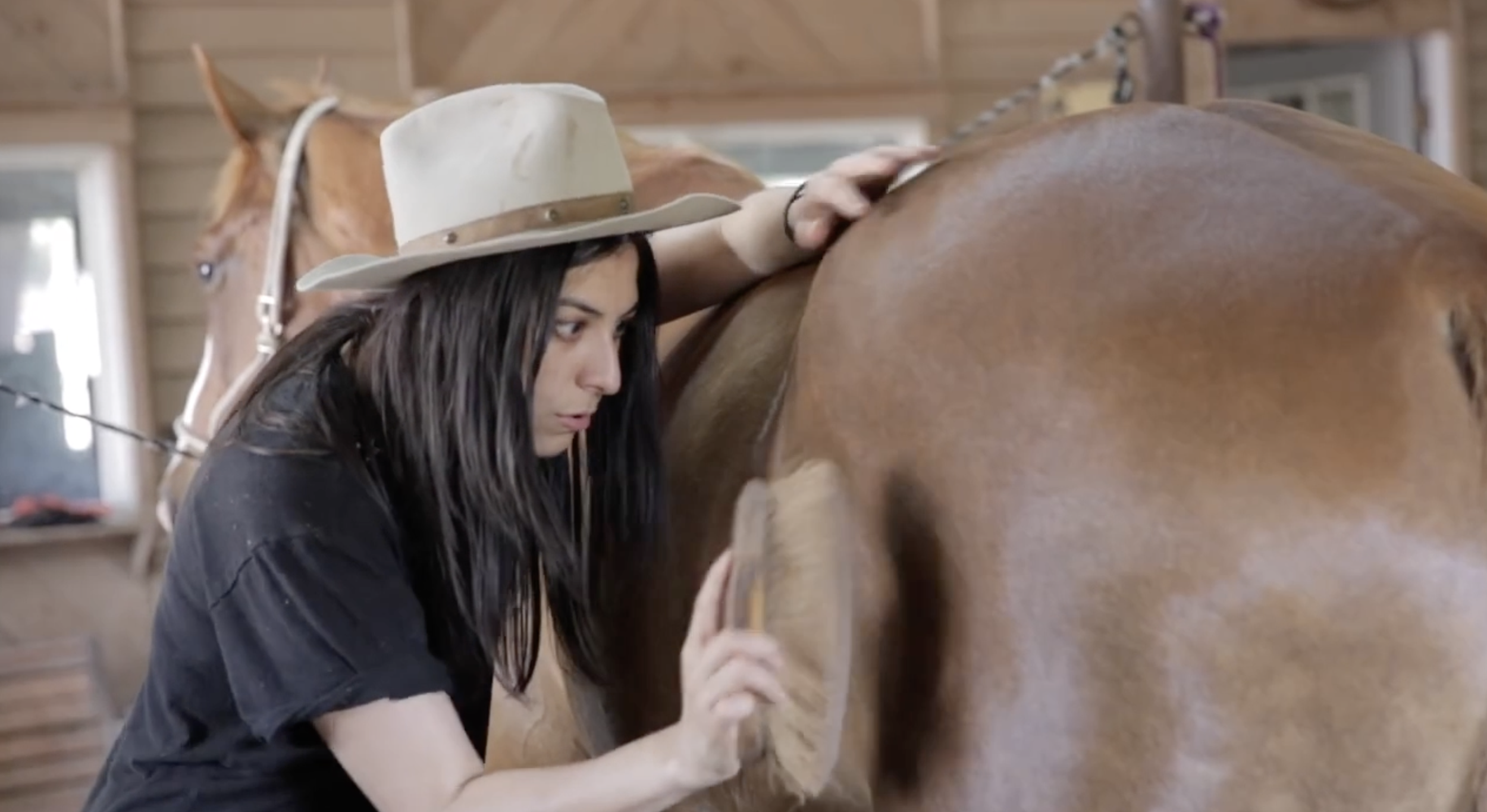 Screenshot 2026-03-29 at 4.33.15 PM.png