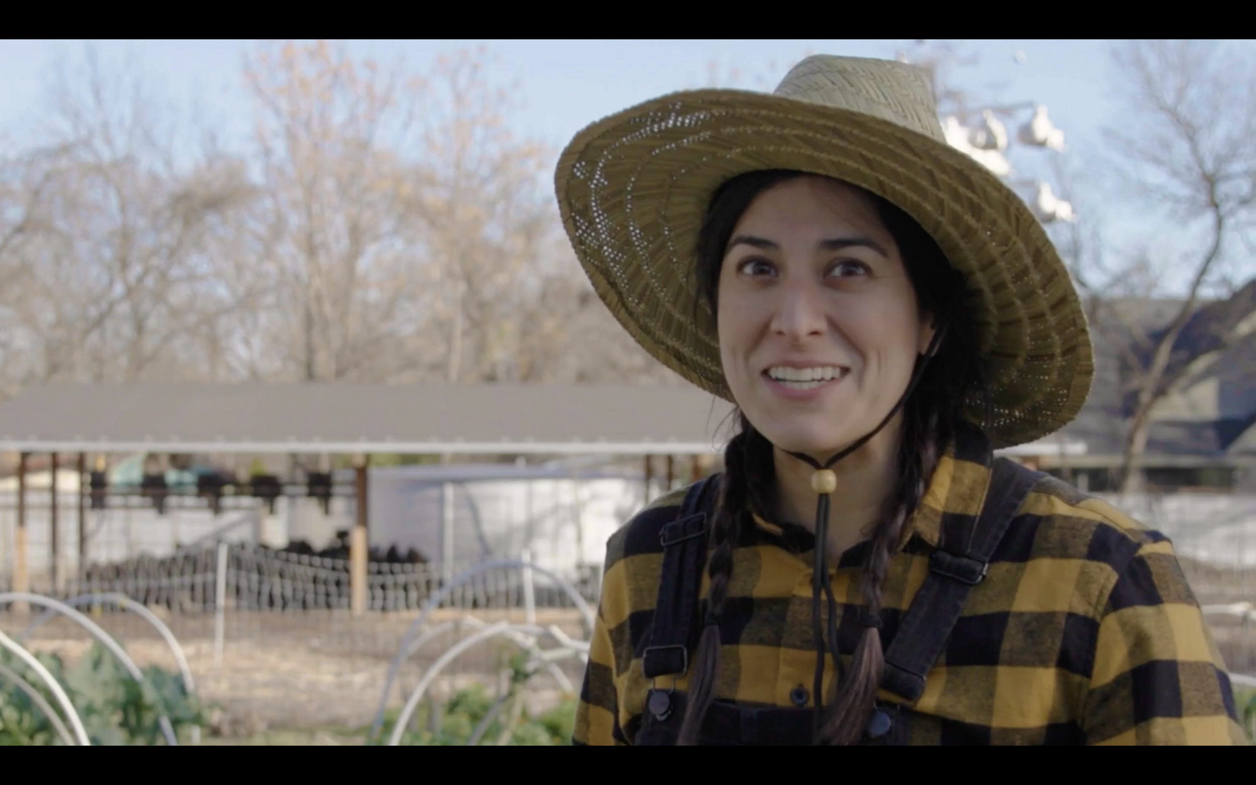 Screenshot 2026-01-29 at 3.53.16 PM.png