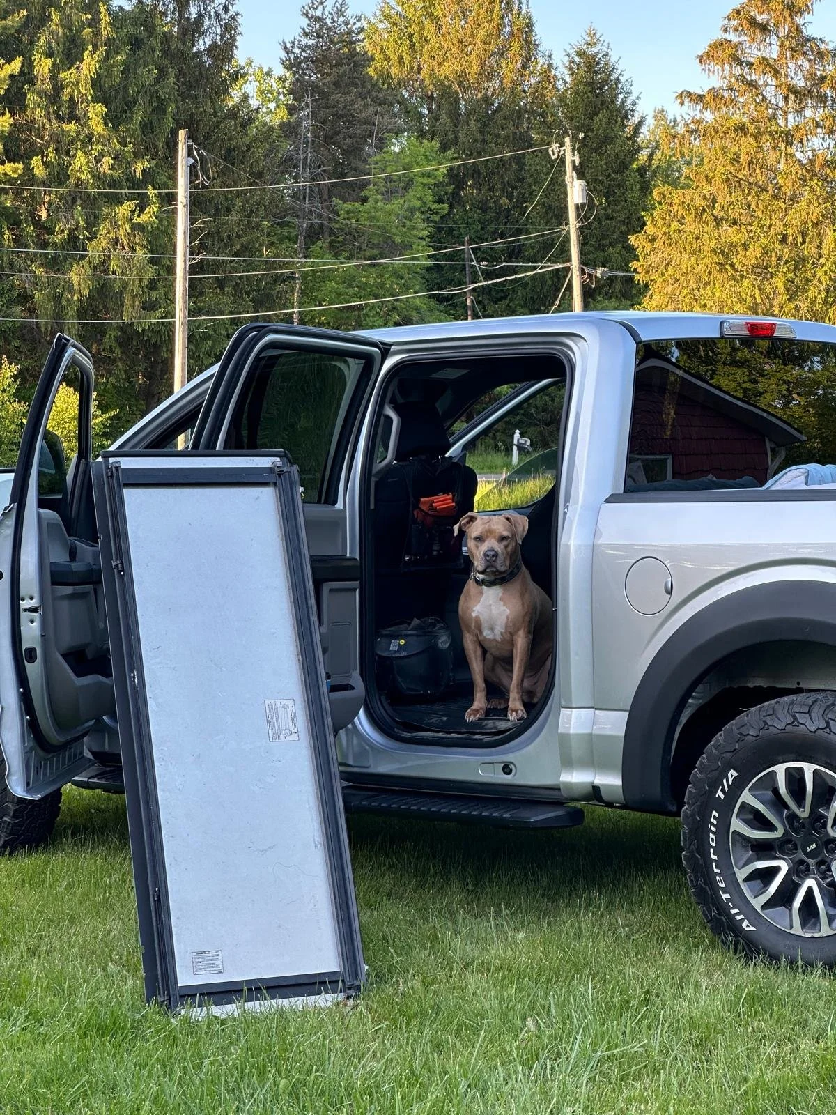Hazel the RNR Shop Dog