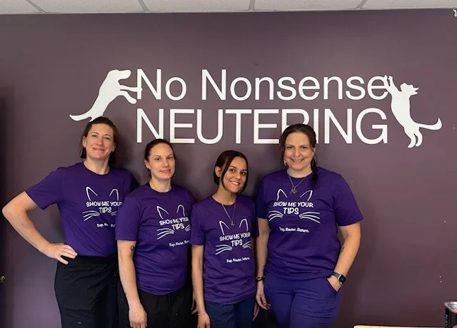 Four women standing in front of a purple wall with large text that reads "No Nonsense Neutering" and cat graphics. They are wearing matching purple T-shirts with a dog and cat graphic and the text "Show Me Your Tips".