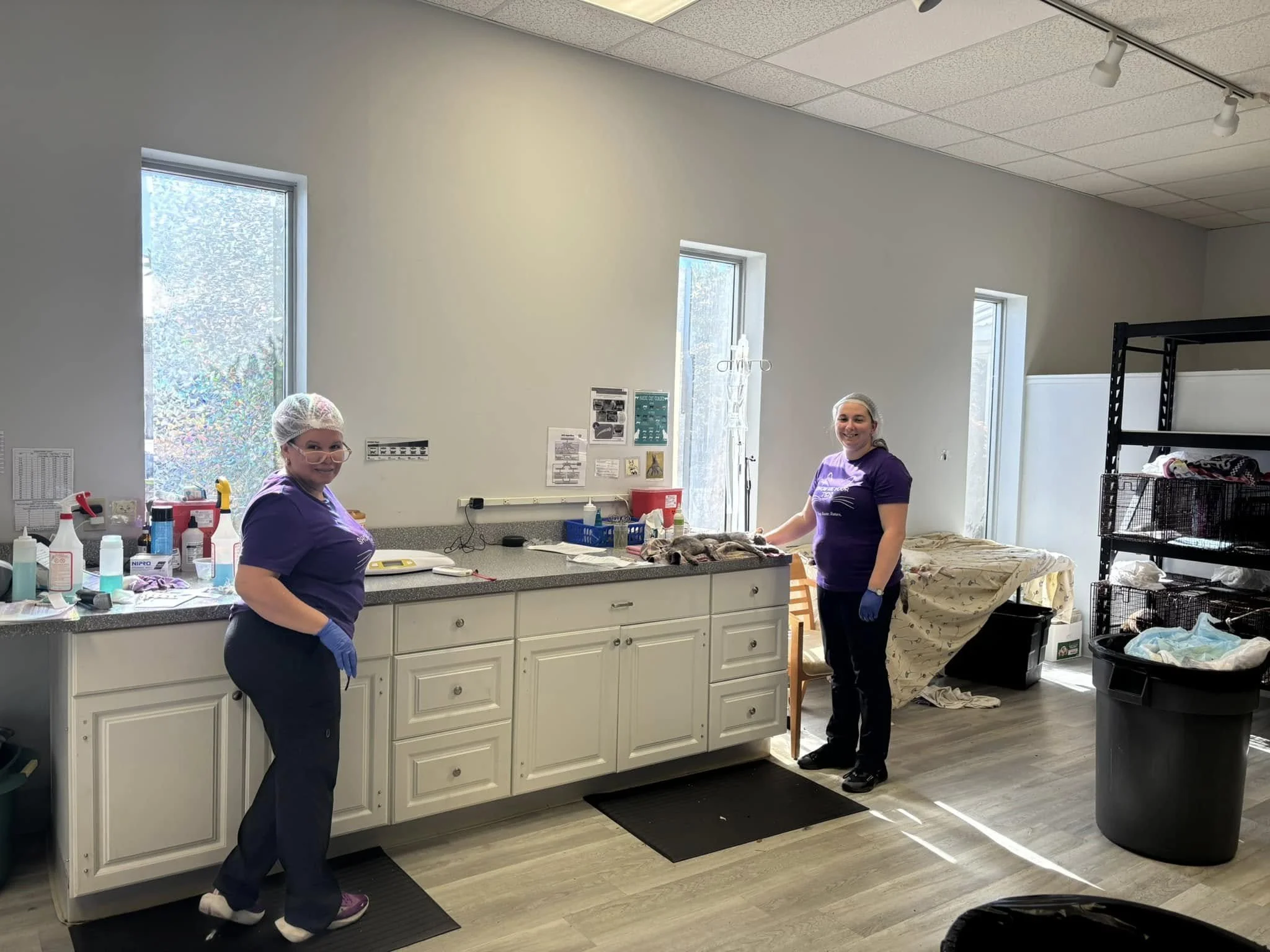 Two women in purple shirts and blue gloves working in a room with white cabinets, windows, and a black shelving unit, handling what appear to be small animals or objects on the counter.
