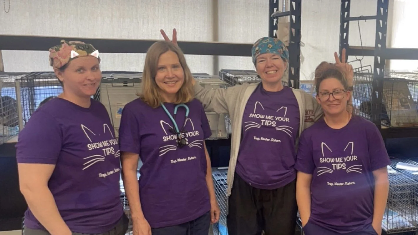 Four women in purple T-shirts with cat-related text and graphics, some wearing cat ear headbands or bandanas, standing indoors in front of cages, smiling and making playful gestures.