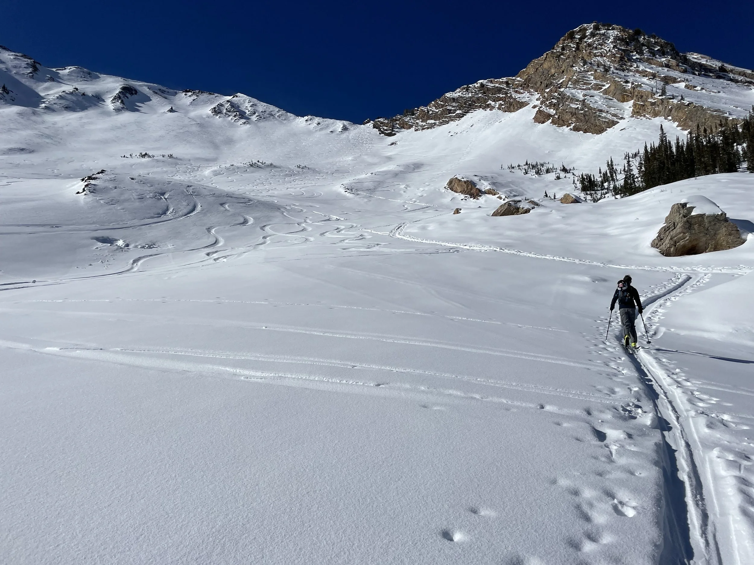 Jay Peak Sidecountry Tour