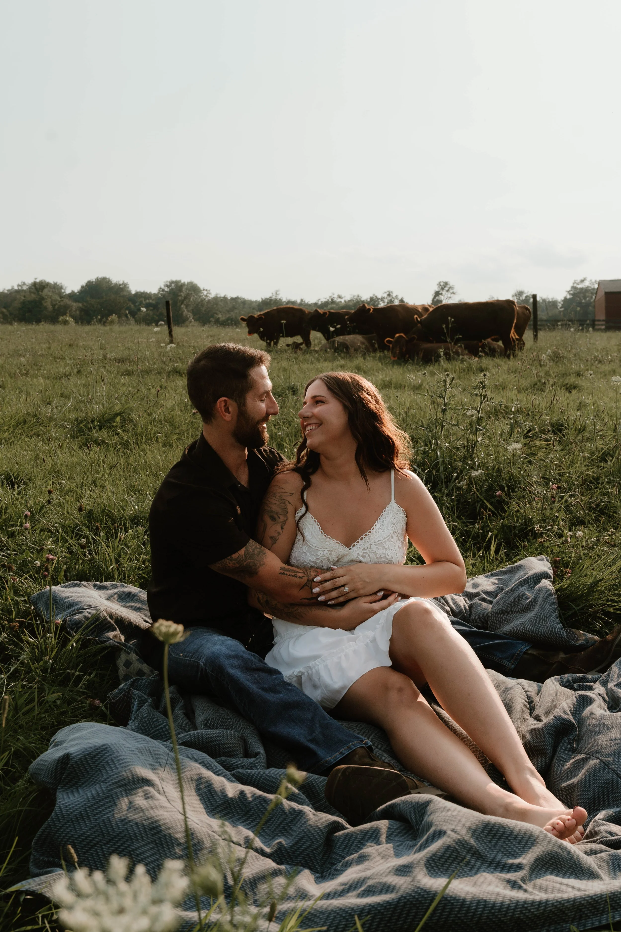 A smiling couple sits together on a blanket in a grassy field, with cows grazing in the background during sunset.