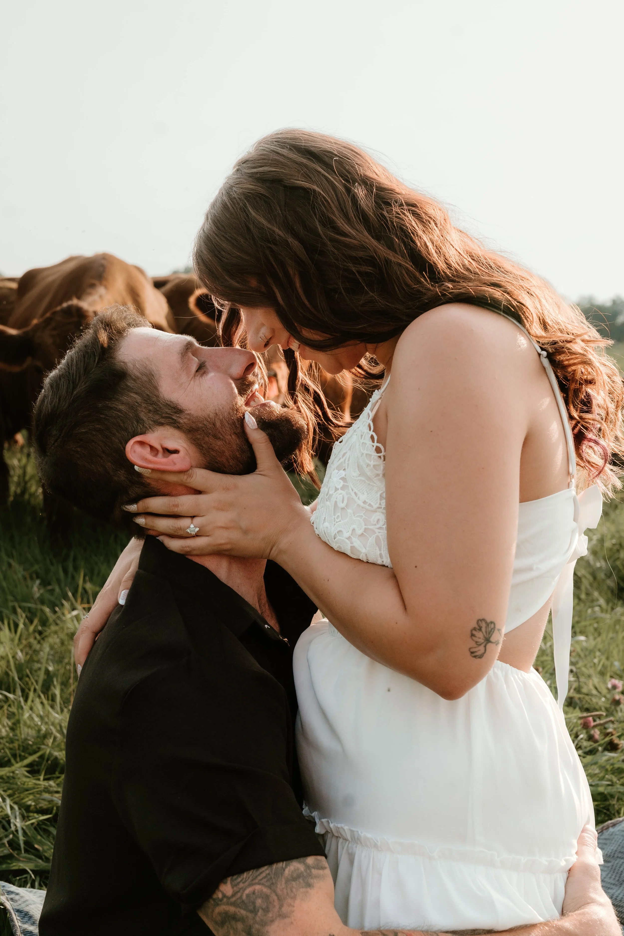 A couple is kissing outdoors with cows grazing behind them, during sunset.