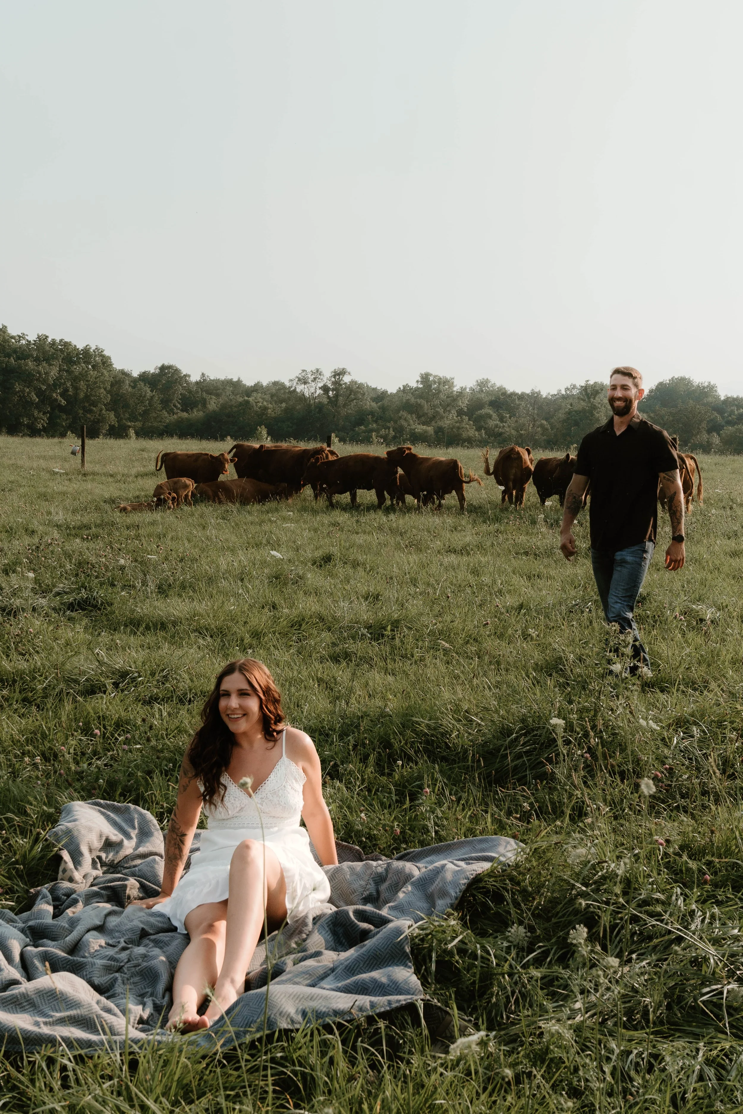 A woman in a white dress sitting on a blanket in a grassy field, smiling, with a man walking toward her in the background, and a herd of cows grazing in the distance.