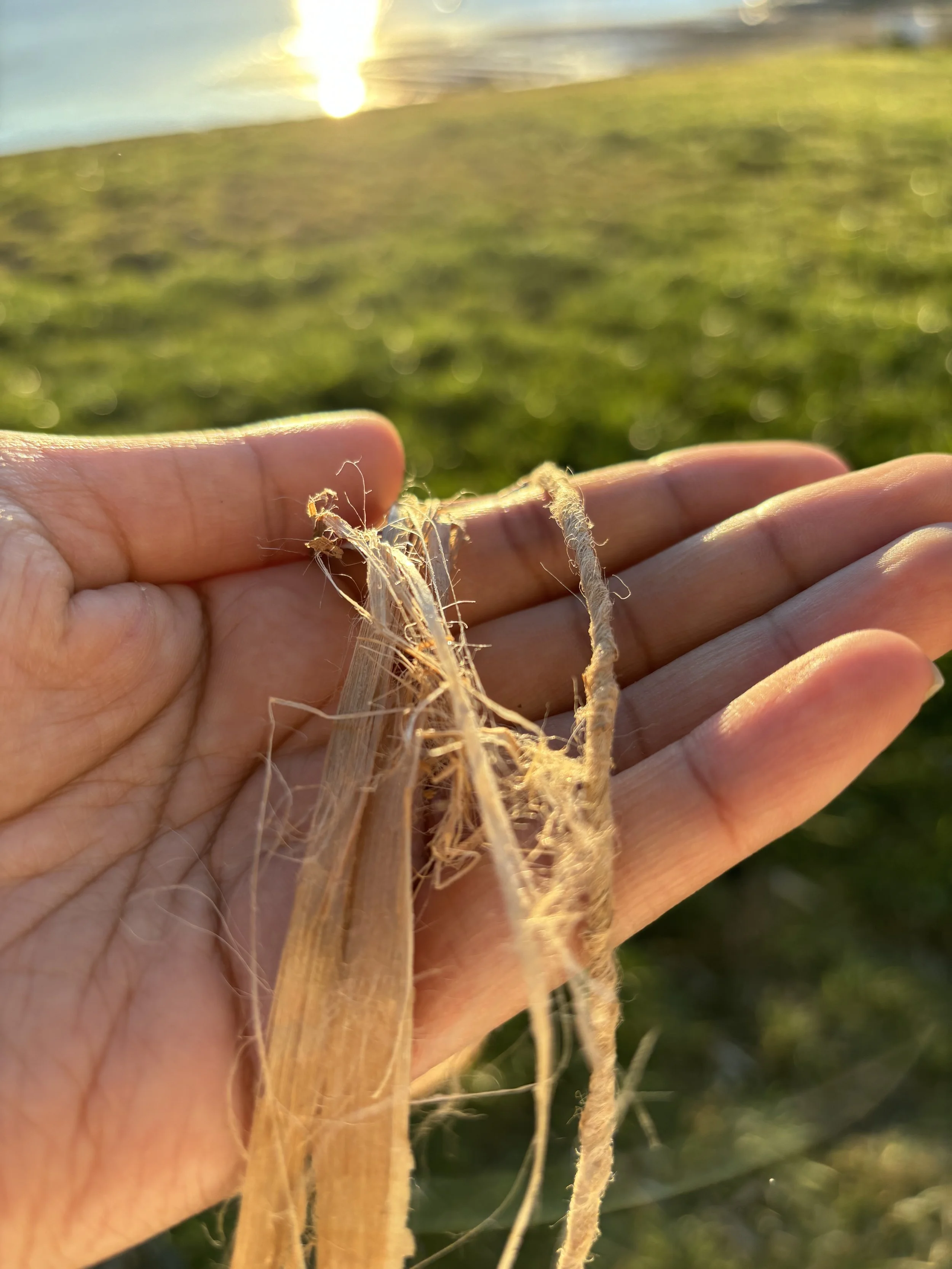 Cordage Making – Working with sp̓ic̓n Workshop