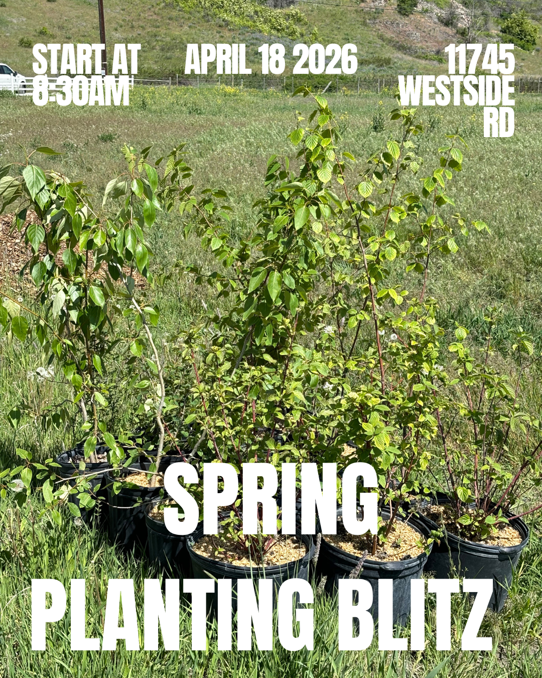 Copy of start AT 11 PM.png