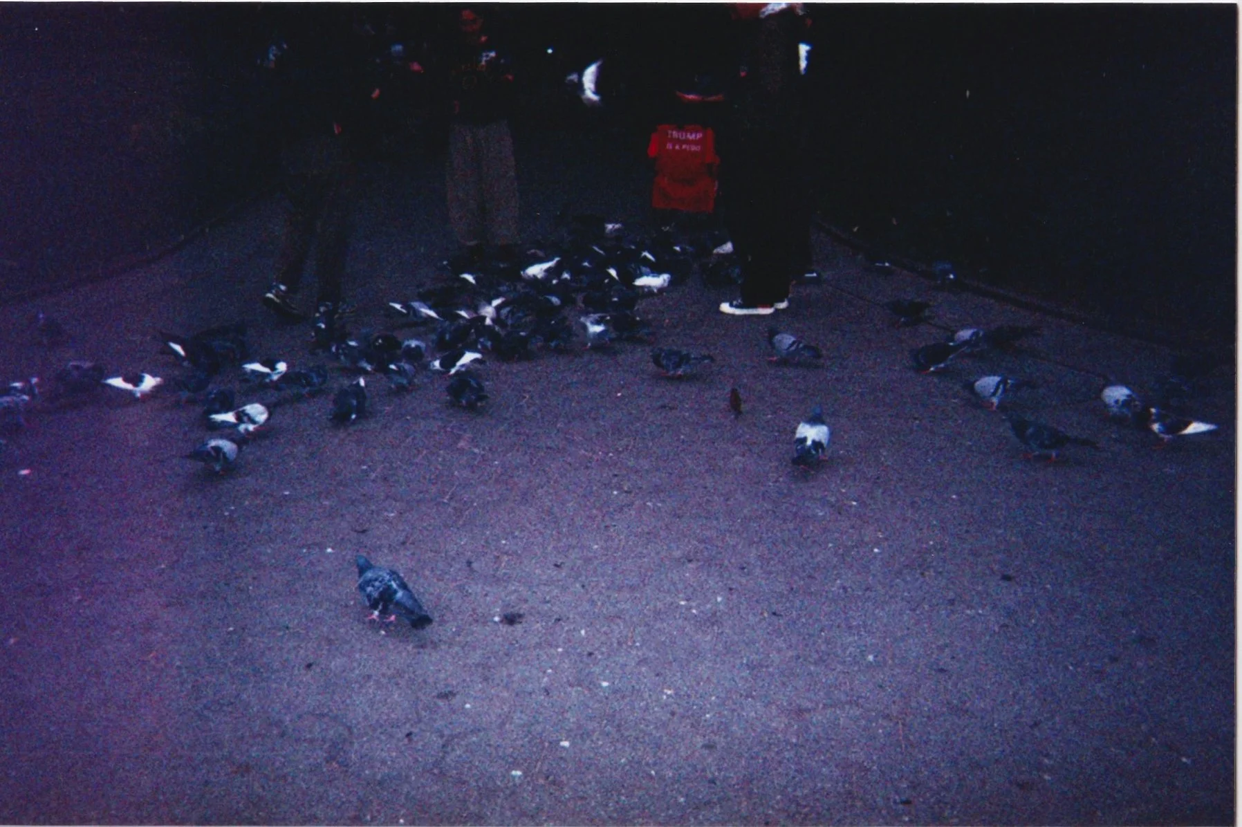 Scan 1 copy 5.jpeg