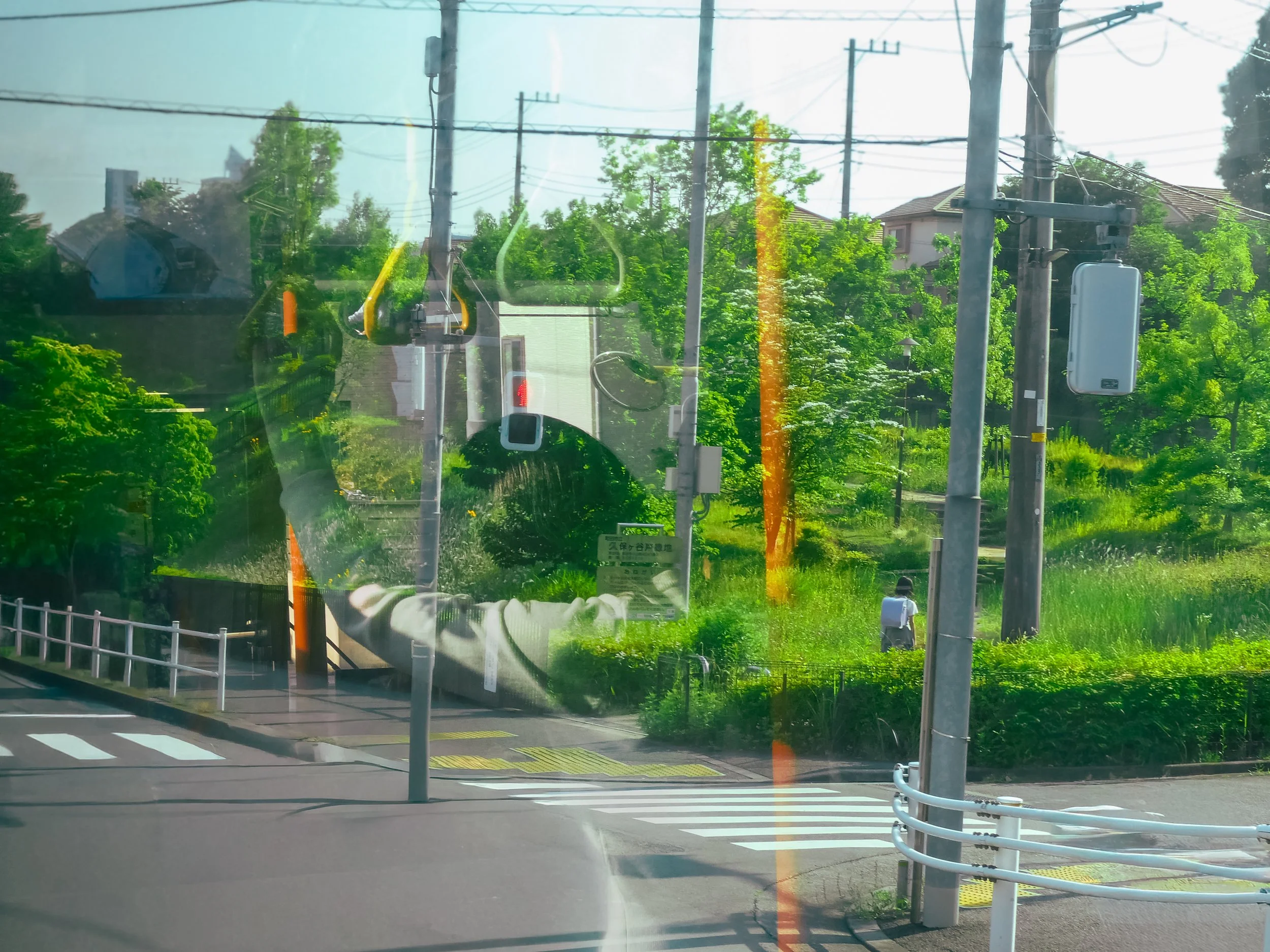 P1000381.jpg