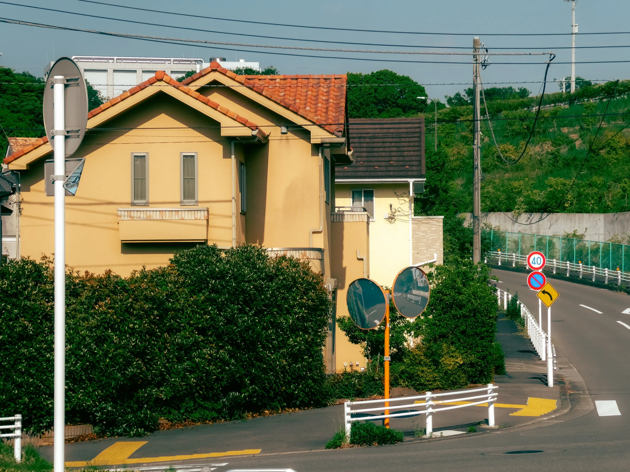 P1000376.jpg