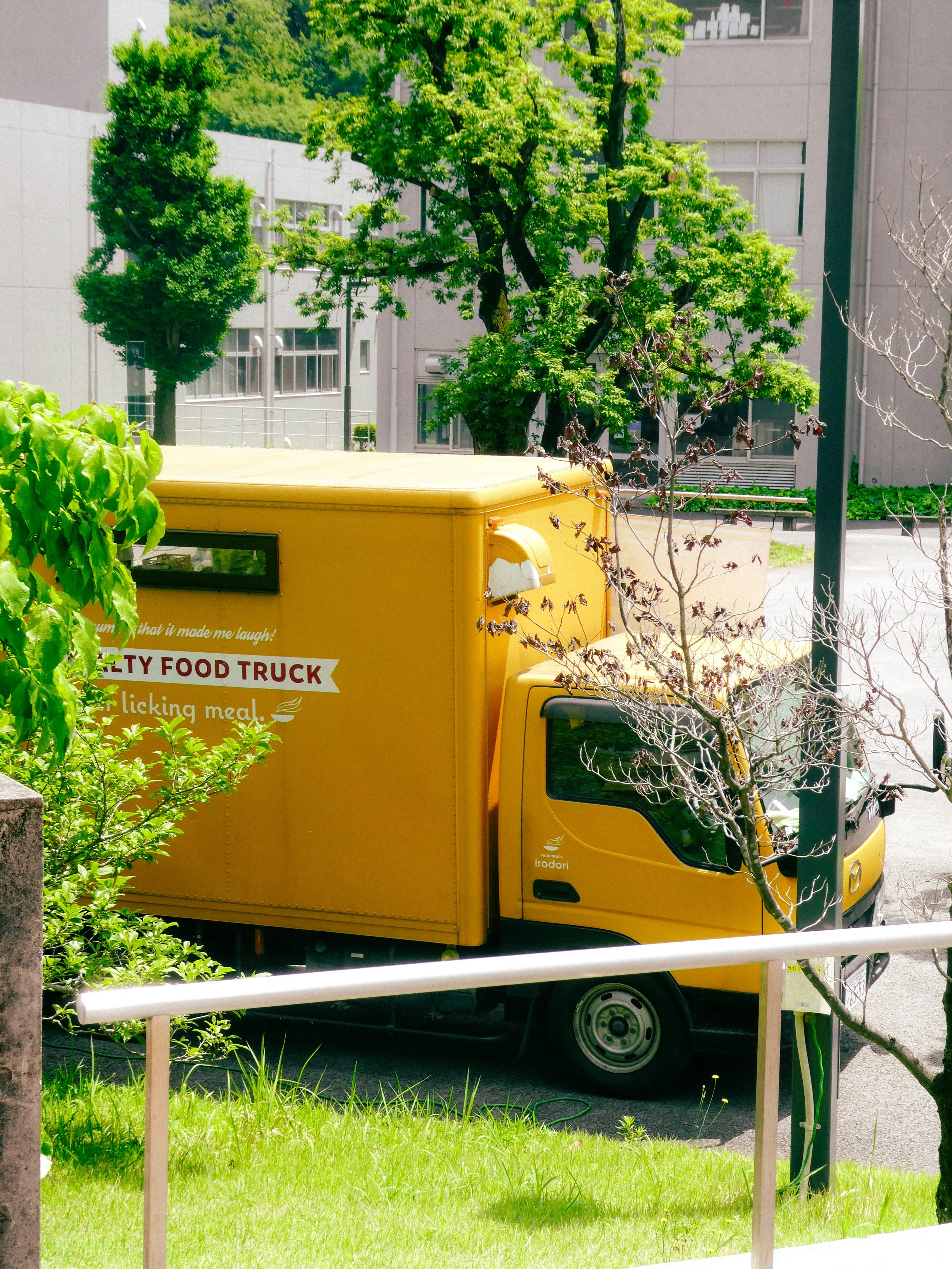 P1000373.jpg