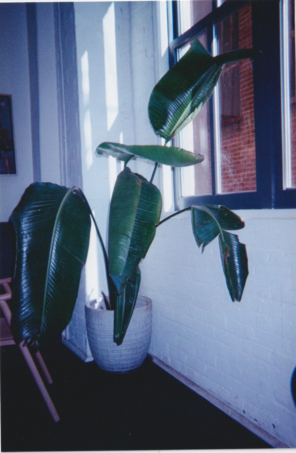 Scan 1 copy 15.jpeg