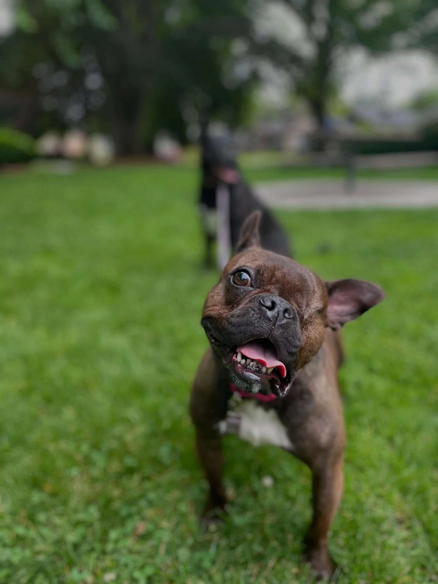 Iz 🐷 &amp; Ruth 🐮