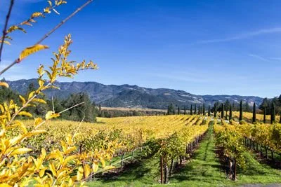 Topics in Emergency Medicine