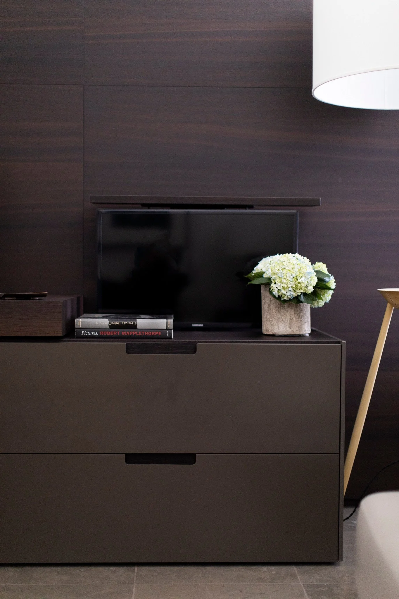 Modern luxury living room media console with dark wood paneling, minimalist decor, and contemporary interior styling with hidden tv