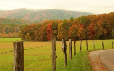 Electrical Repair Services in Bean Station TN