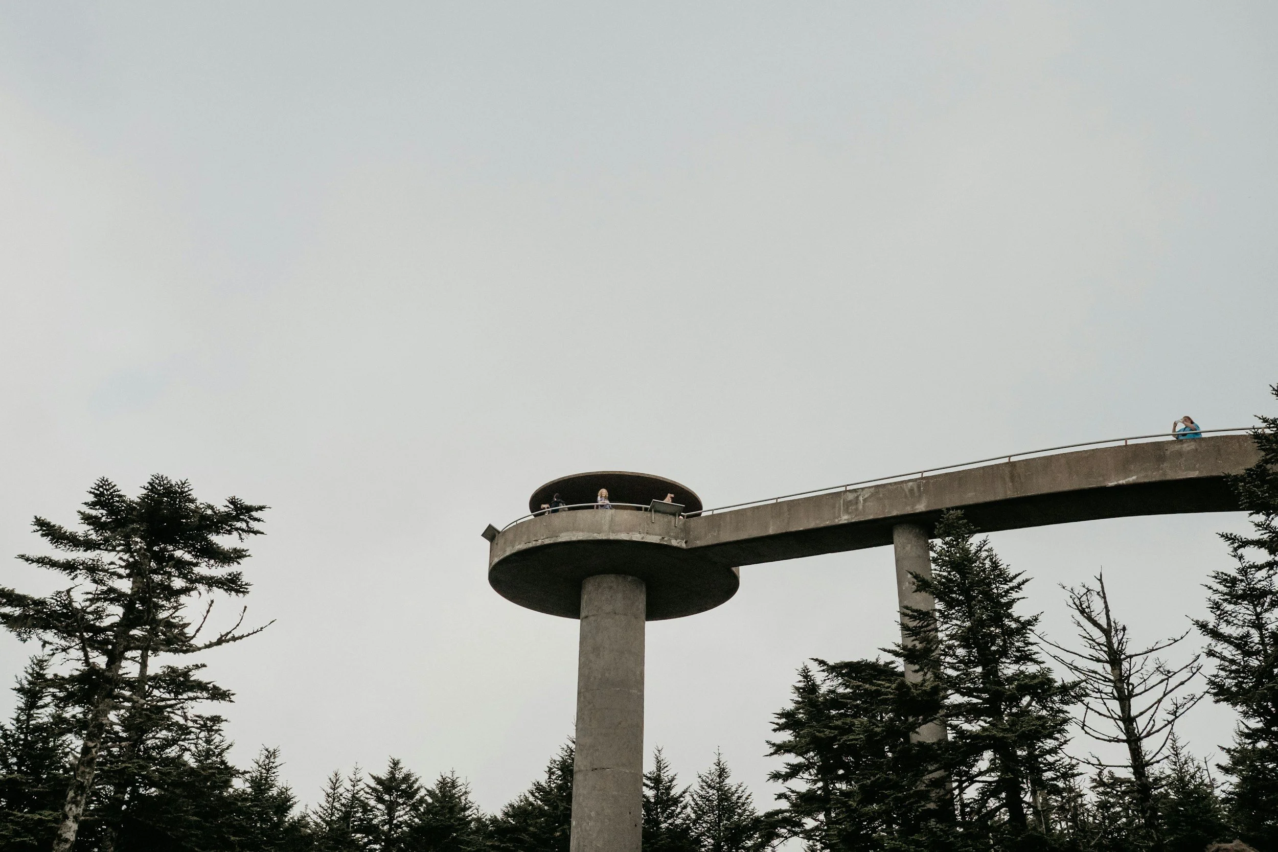 A viewing platform on a tall concrete support structure extends over a forest of evergreen trees, with people standing on the platform and some taking photos. The sky is overcast.