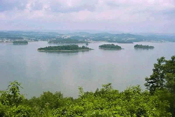 A view of a large body of water with several small islands, taken from a hillside with green foliage in the foreground.