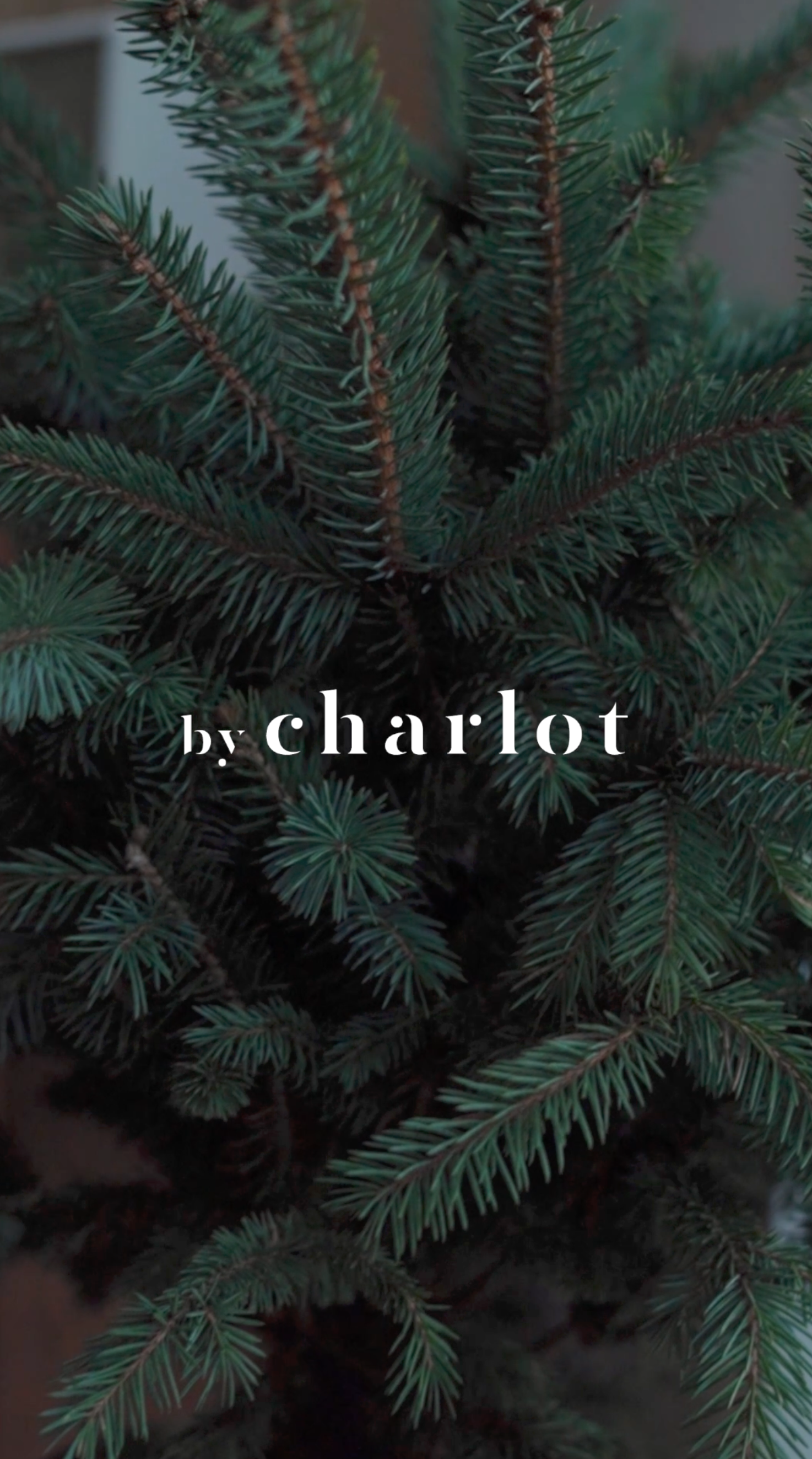 Screenshot 2026-02-18 at 16.40.50.png