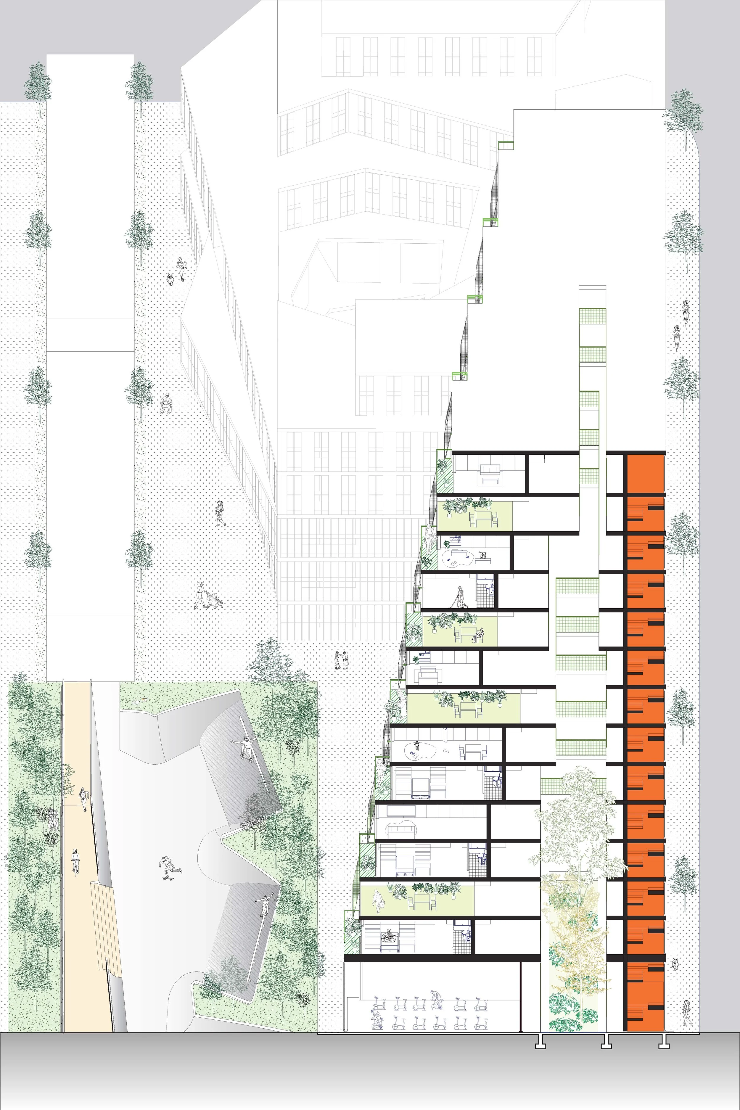 intergreen section.jpg