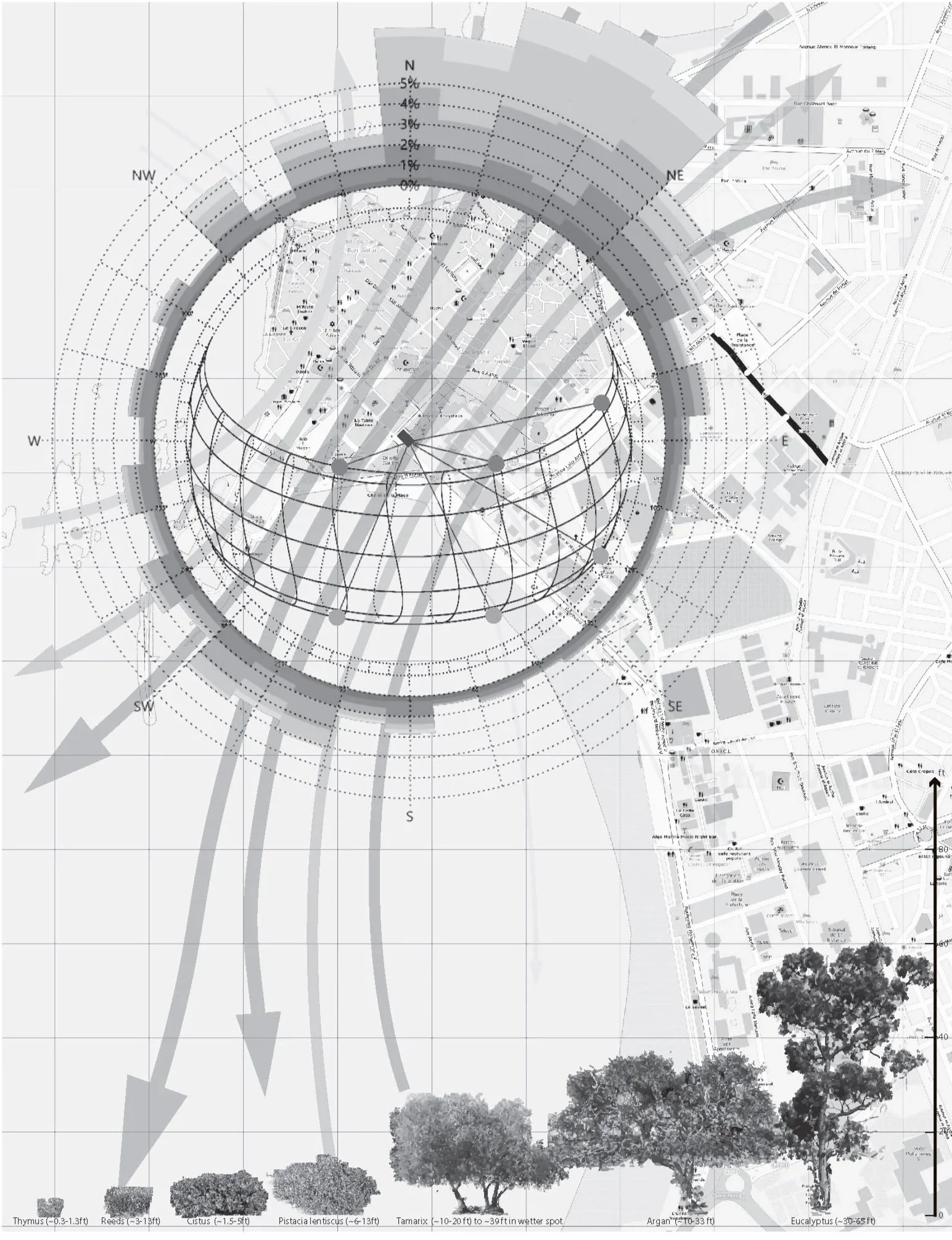 Interpretive site drawing illustrating the bathhouse’s position between the Atlantic Ocean and the historic Medina, highlighting coastal winds, solar orientation, and urban edges shaping environmental conditions.