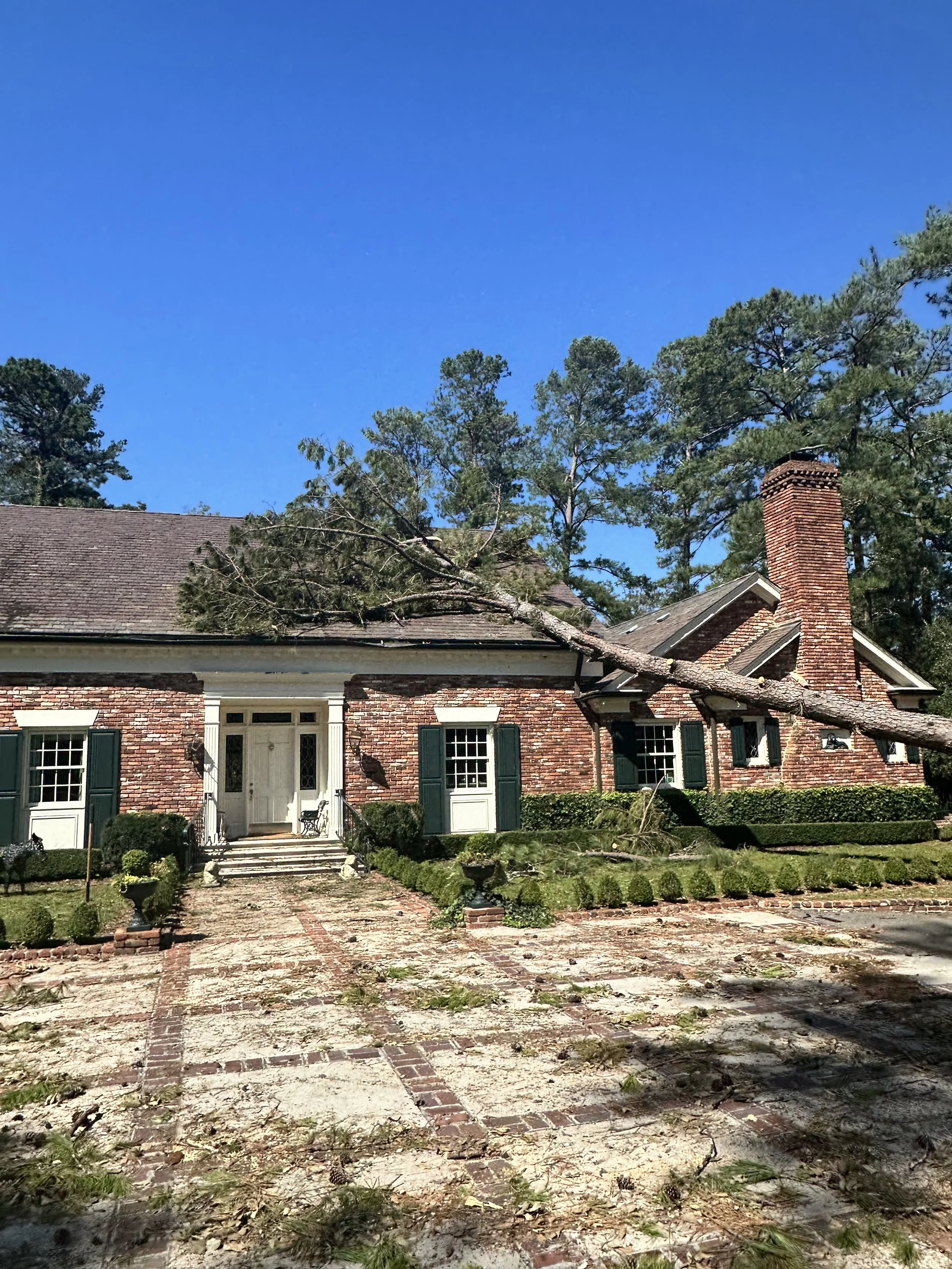 emergency tree removal