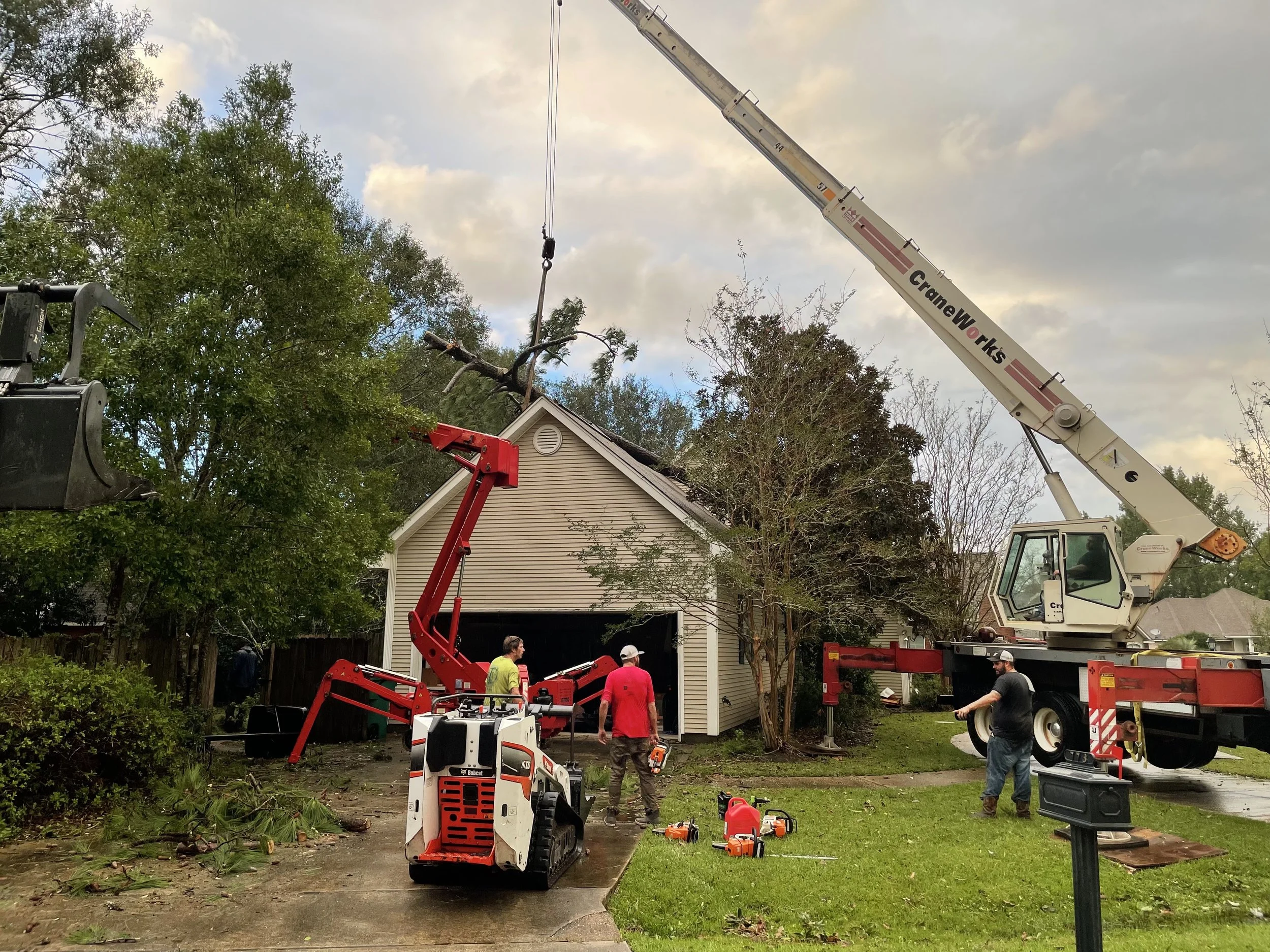 emergency tree removal