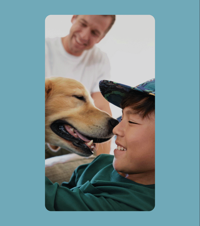 MM-Merry Maids Campaign_9.gif