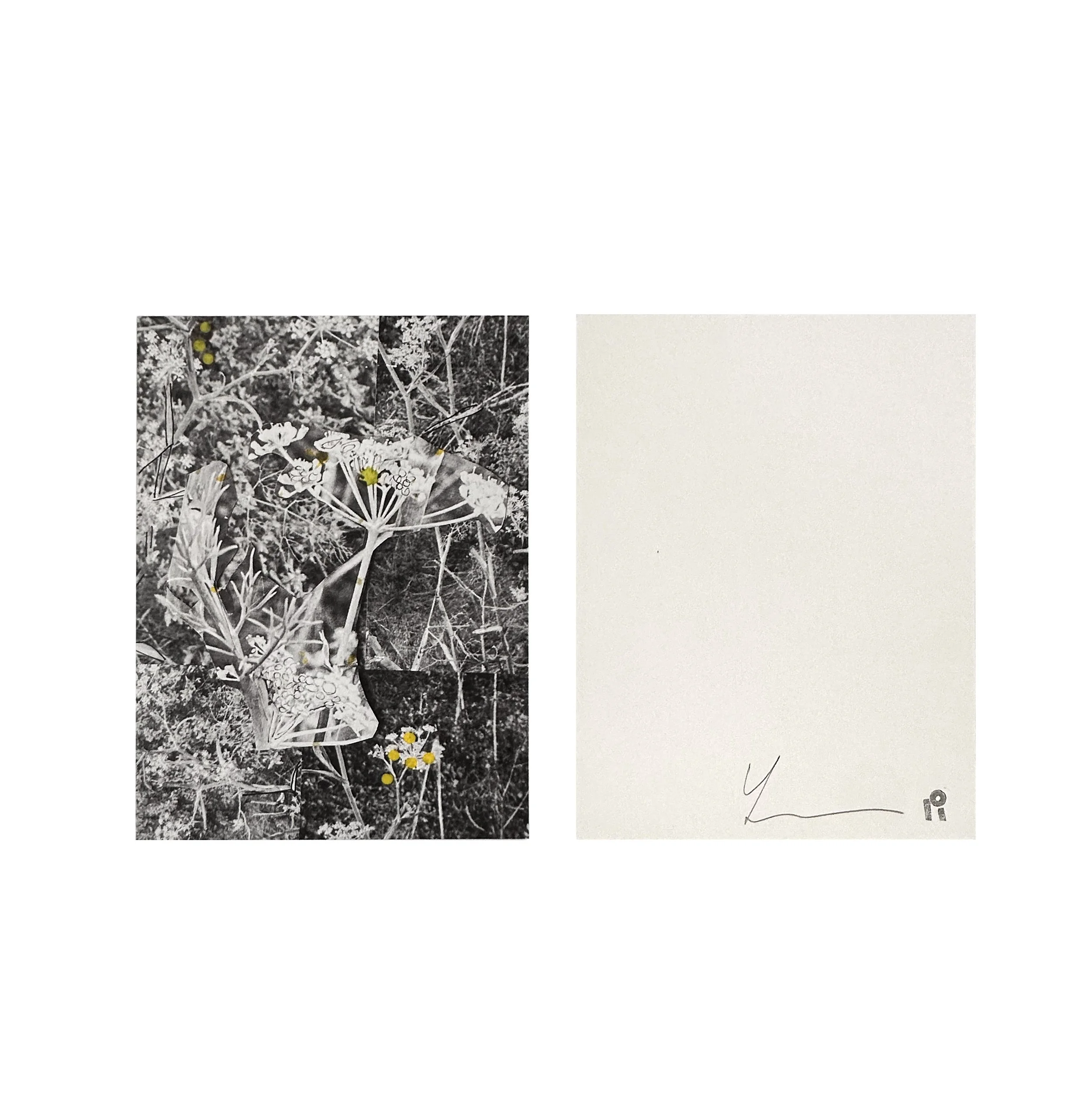 youmna_INprint_03.jpg