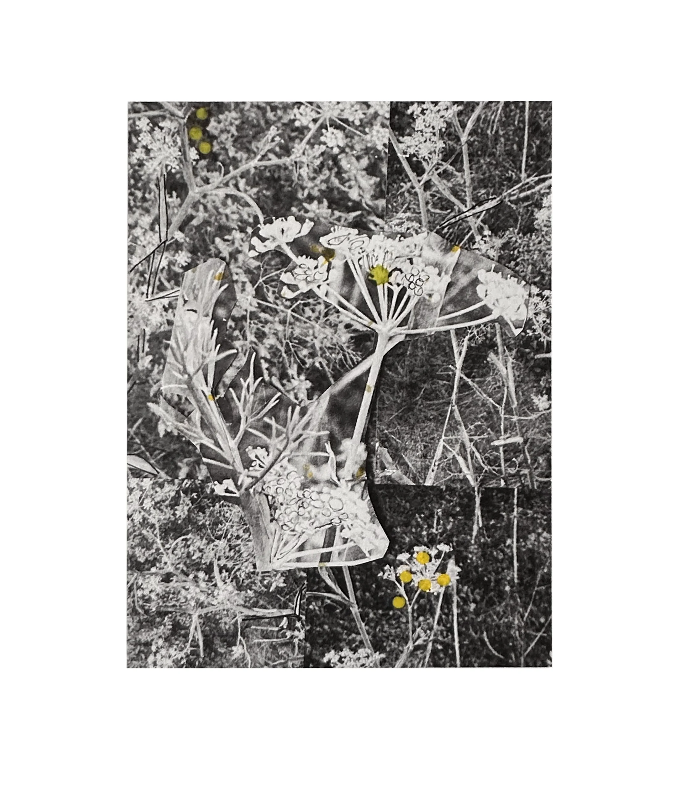 youmna_INprint_02.jpg