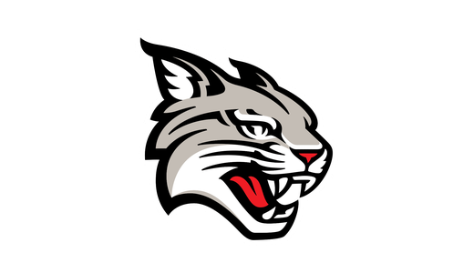 Davidson-Wildcats-Logo_normalized.png