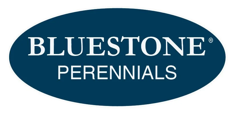 Bluestone Perennials