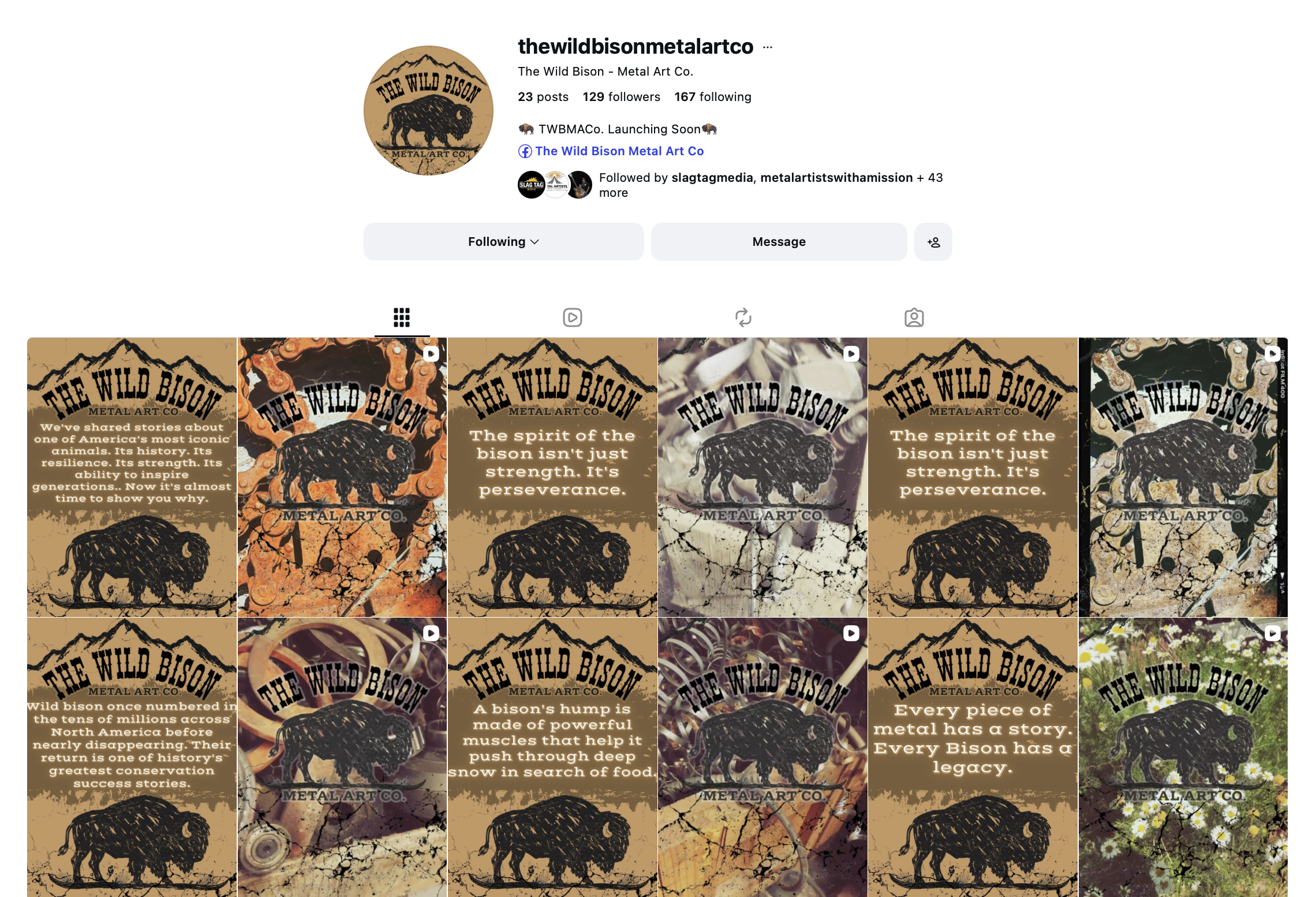The Wild Bison Metal Art Co. Reels &amp; Storyboard Teasers (Pre-Launch)