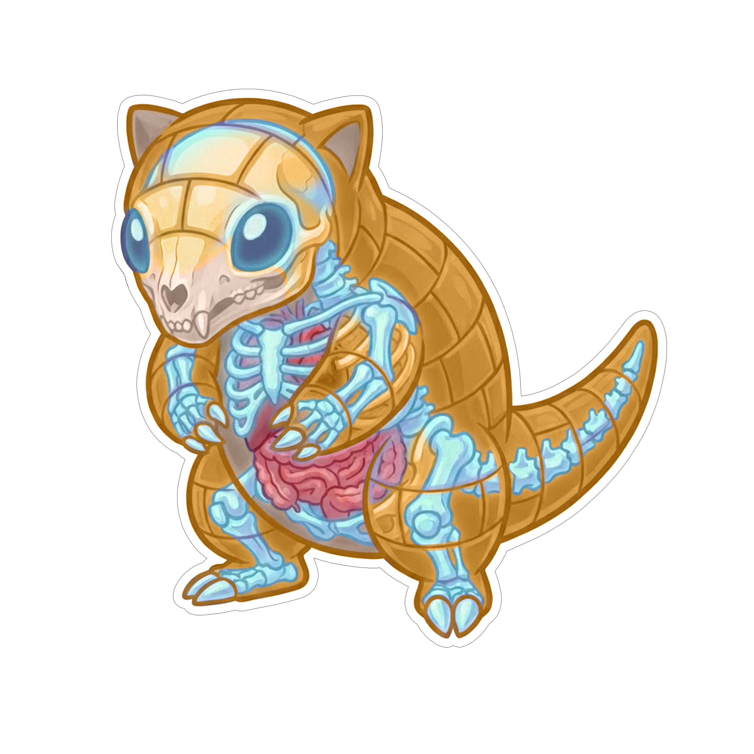 2 Inch Diaphonized Pokemon Anatomy Stickers