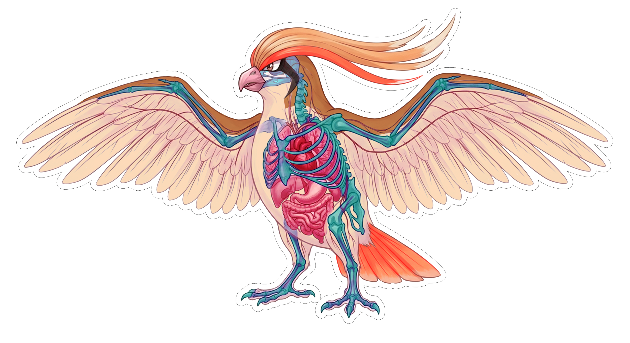 2 Inch Diaphonized Pokemon Anatomy Stickers