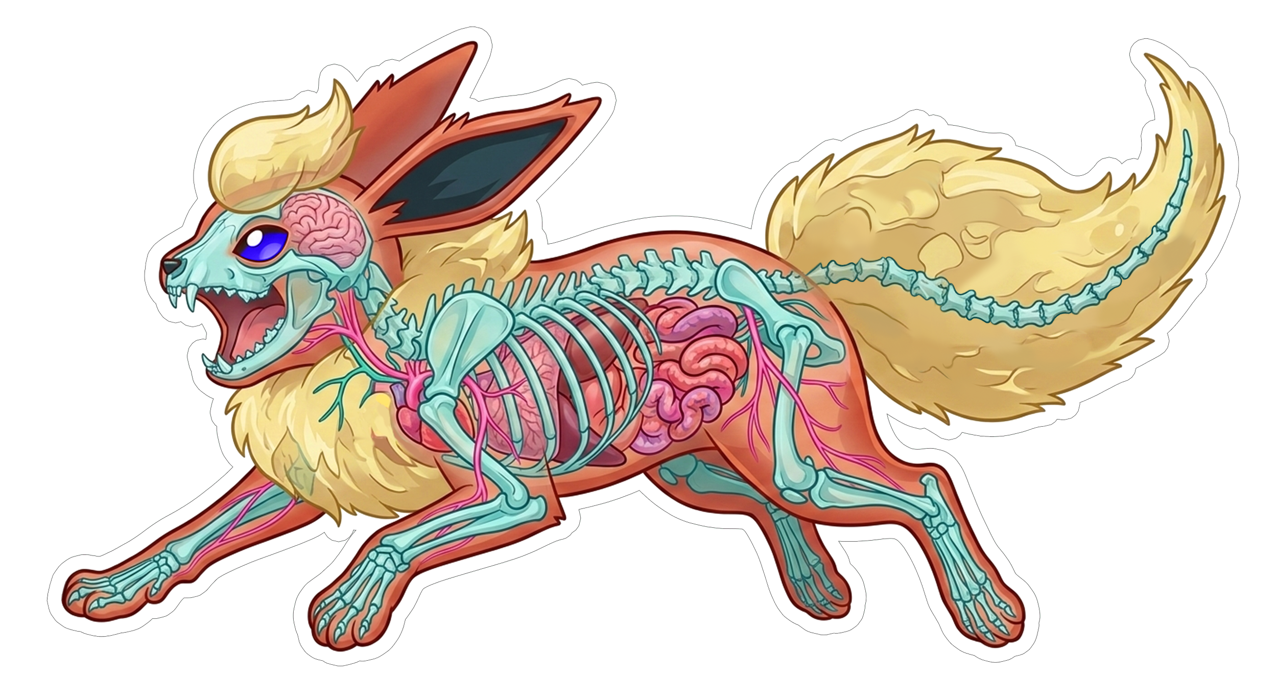 2 Inch Diaphonized Pokemon Anatomy Stickers