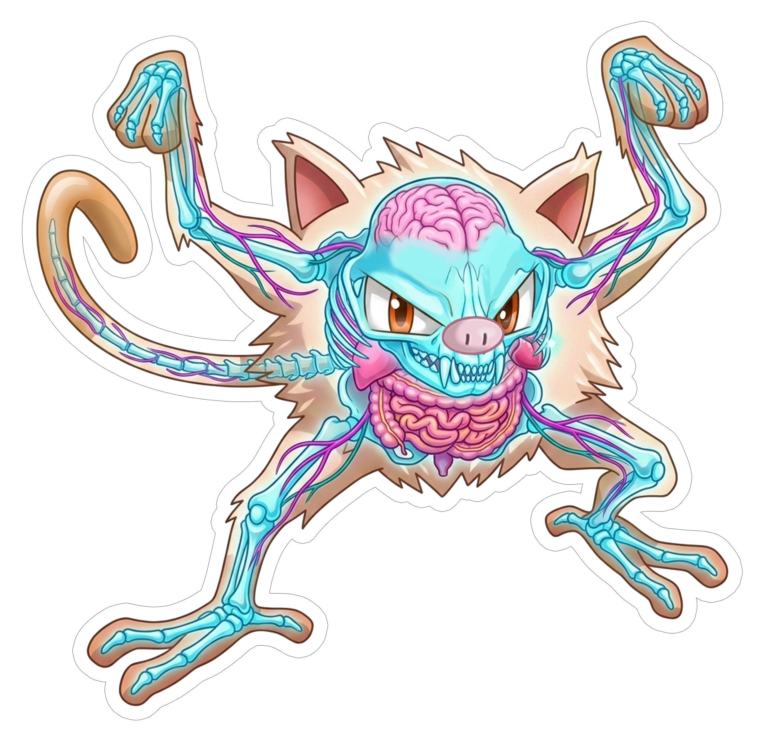 2 Inch Diaphonized Pokemon Anatomy Stickers