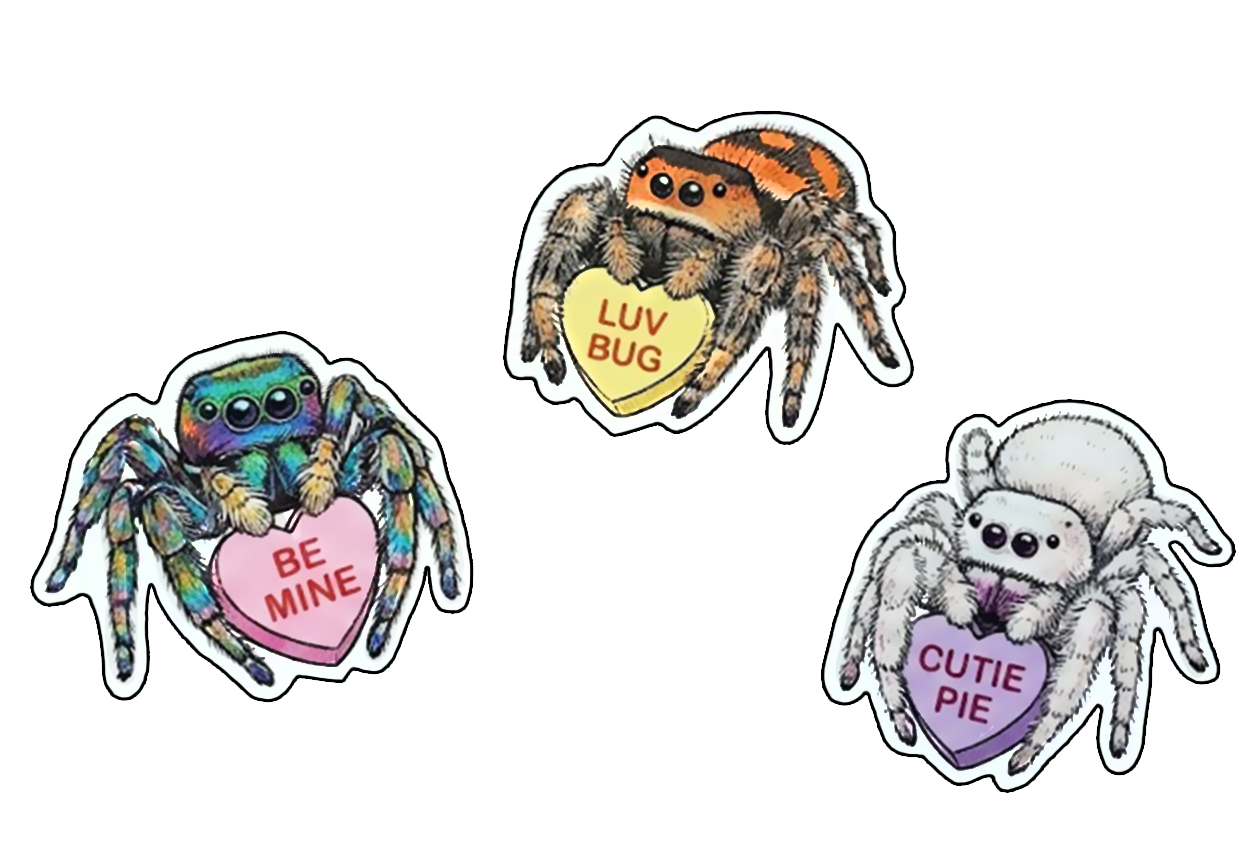 Jumping Spider Heart Candy Sticker Set
