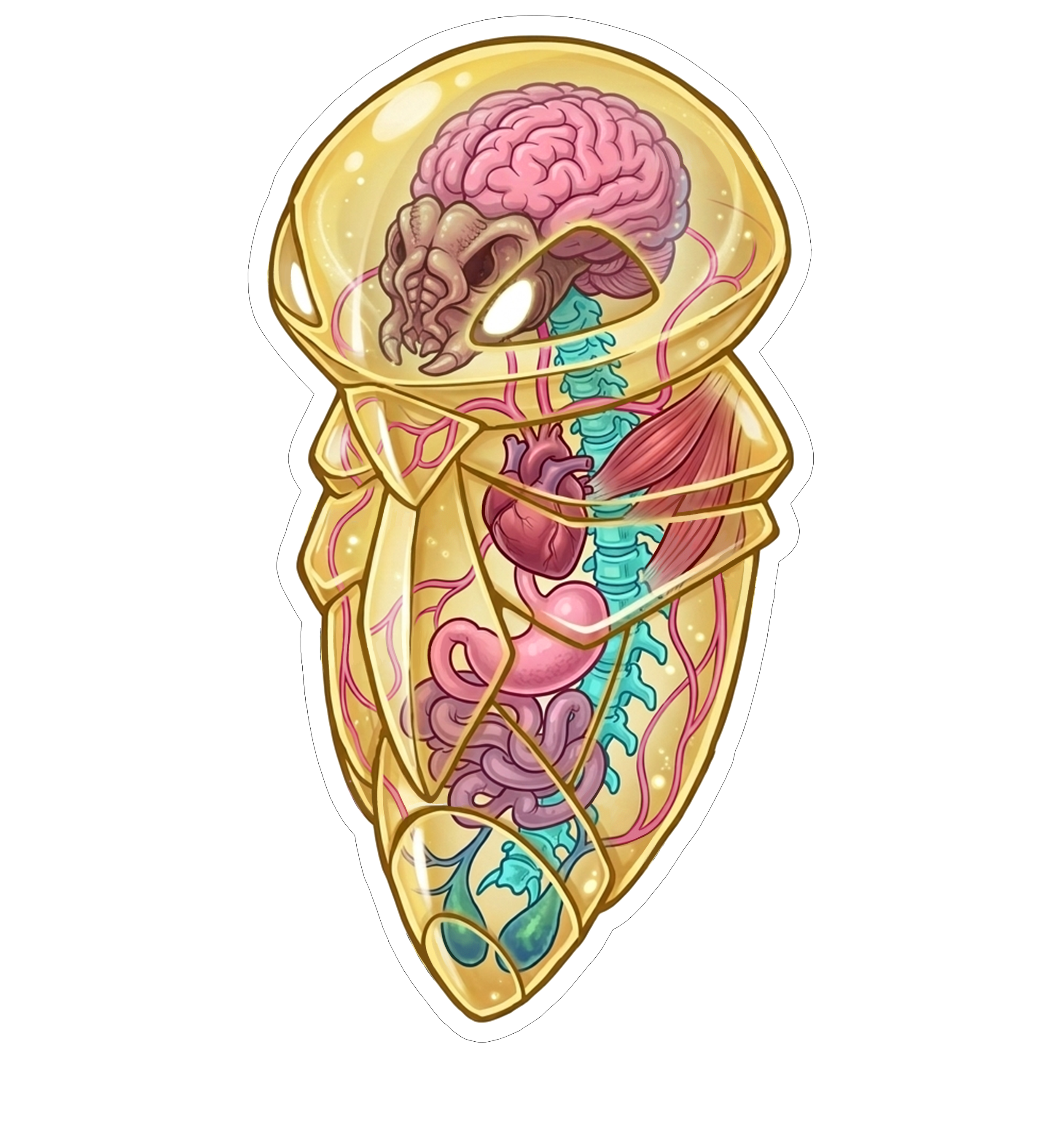 2 Inch Diaphonized Pokemon Anatomy Stickers