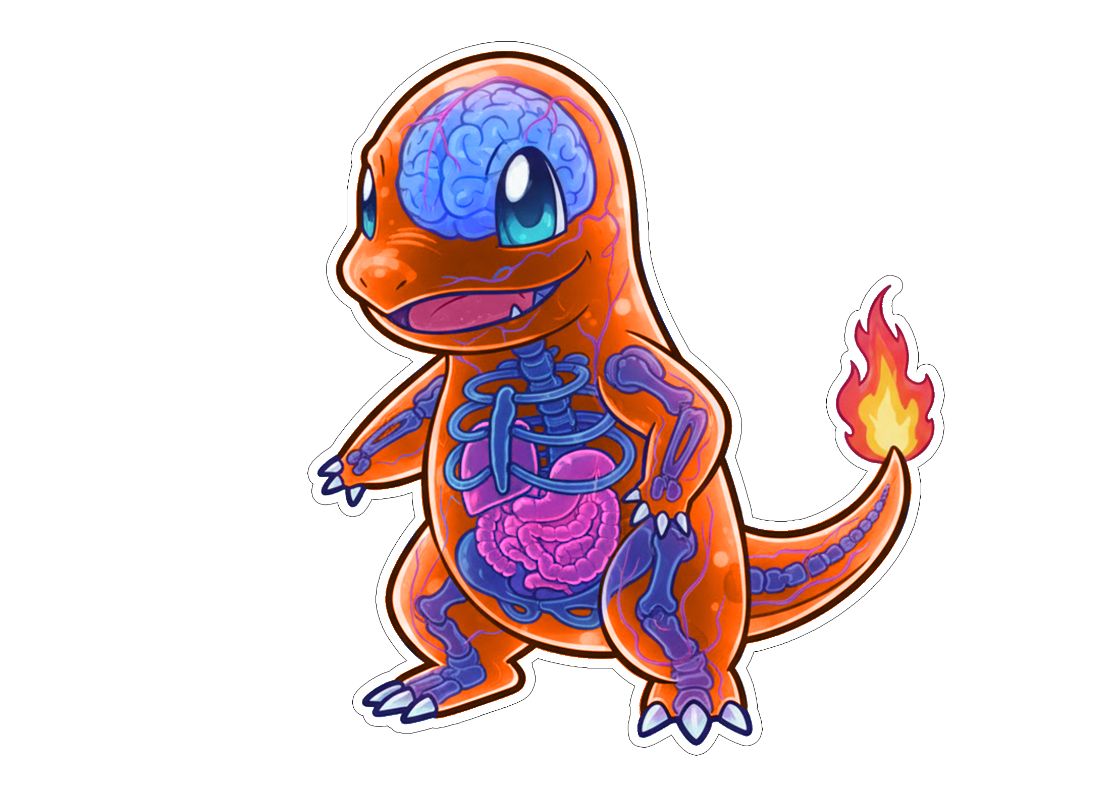 2 Inch Diaphonized Pokemon Anatomy Stickers