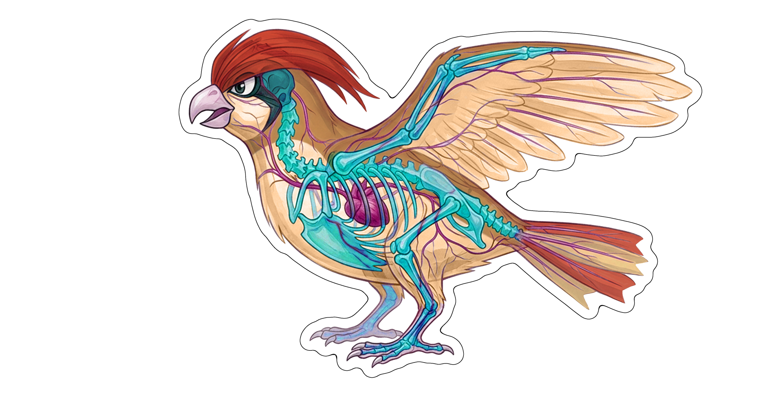 2 Inch Diaphonized Pokemon Anatomy Stickers