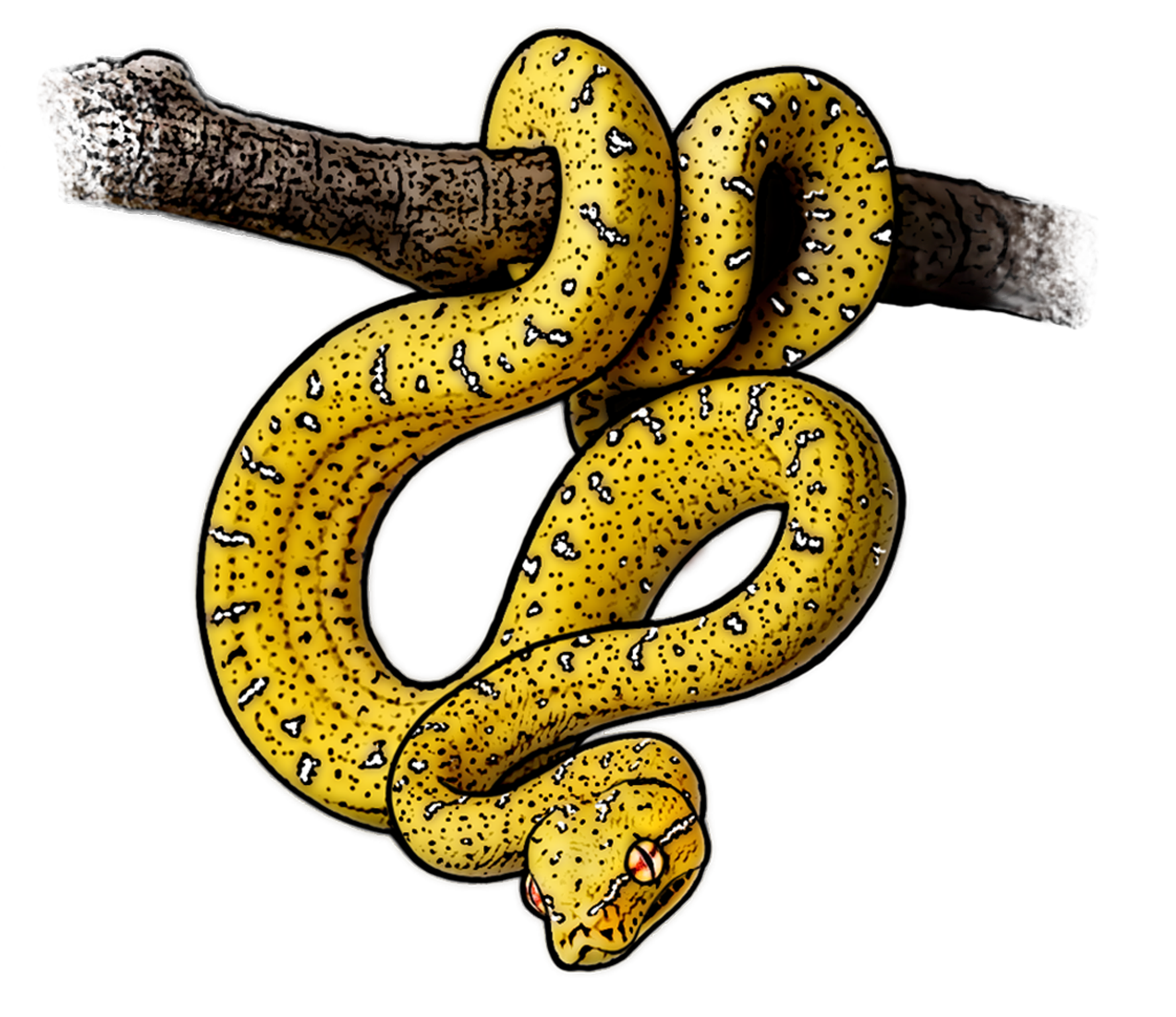 Green Tree Python Stickers