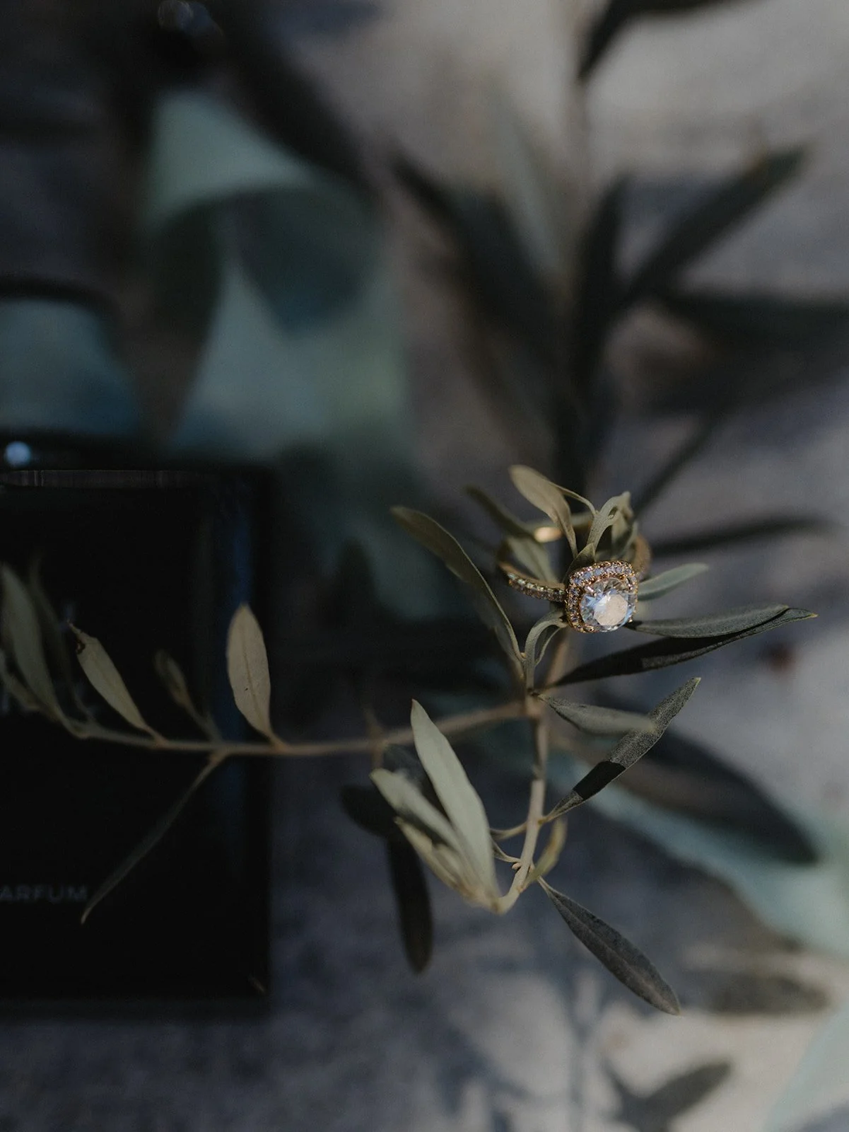 Ein eleganter verlobungsRing mit großem Diamanten liegt auf einem Zweig mit grünen Blättern, im Hintergrund befinden sich dunkle Gegenstände.