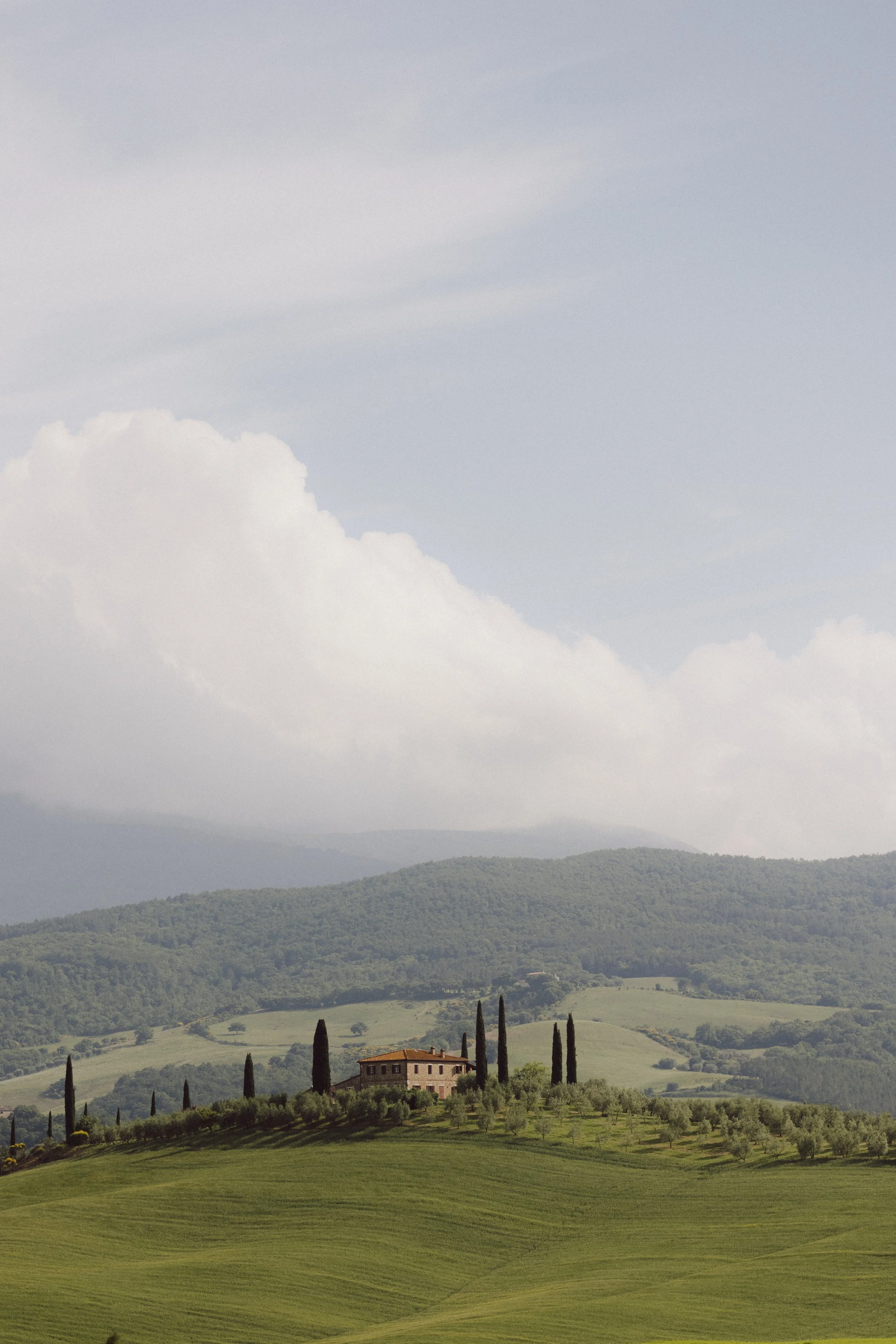 Landschaft mit grünem Hügelland, einzelne Häuser und hohen Zypressen, hinter Wolkenverhangene Berge. Toskana.