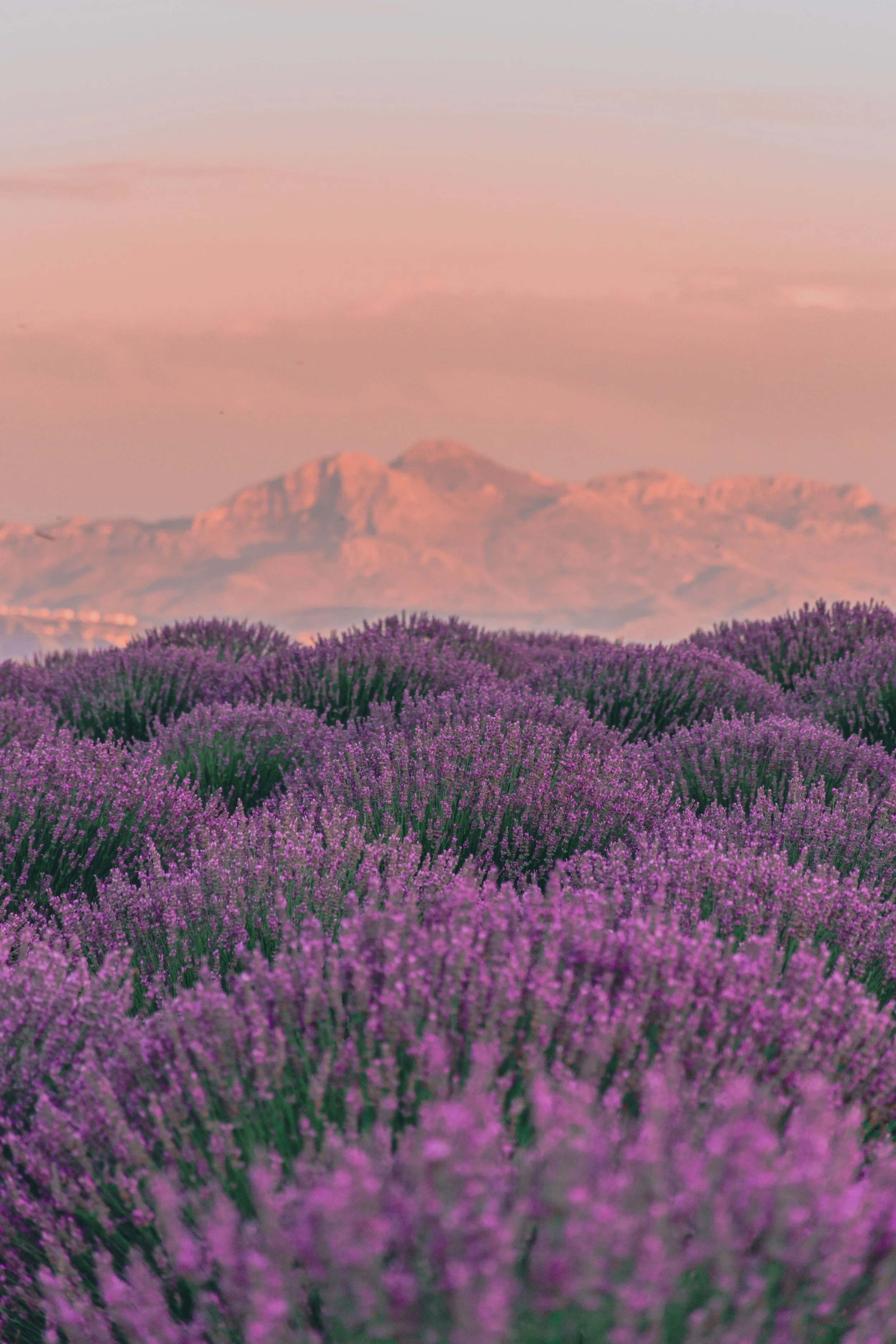 landscape image